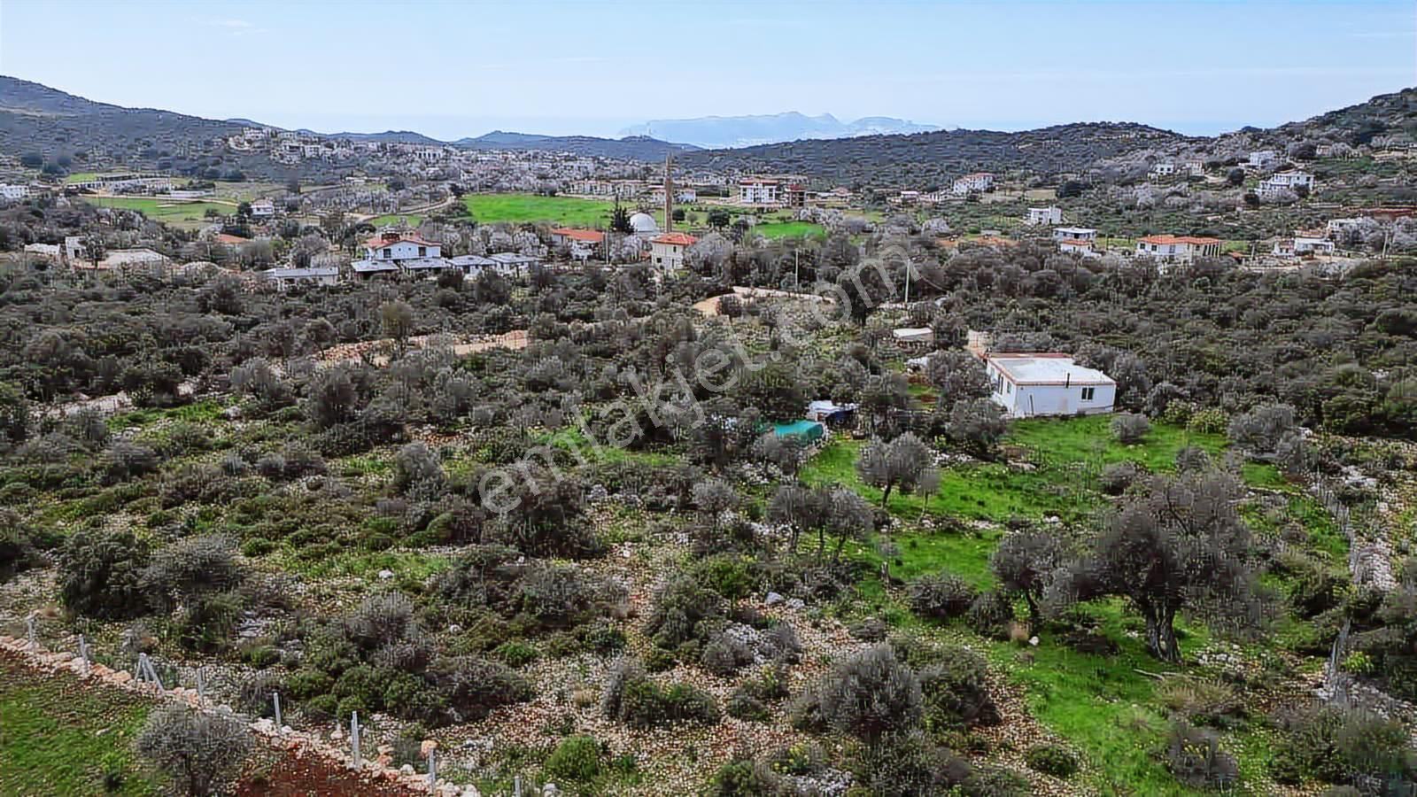 Antalya Kaş'ta 1483 M2 Doğayla İç İçe Deniz Manzaralı Arsa - Görsel 8