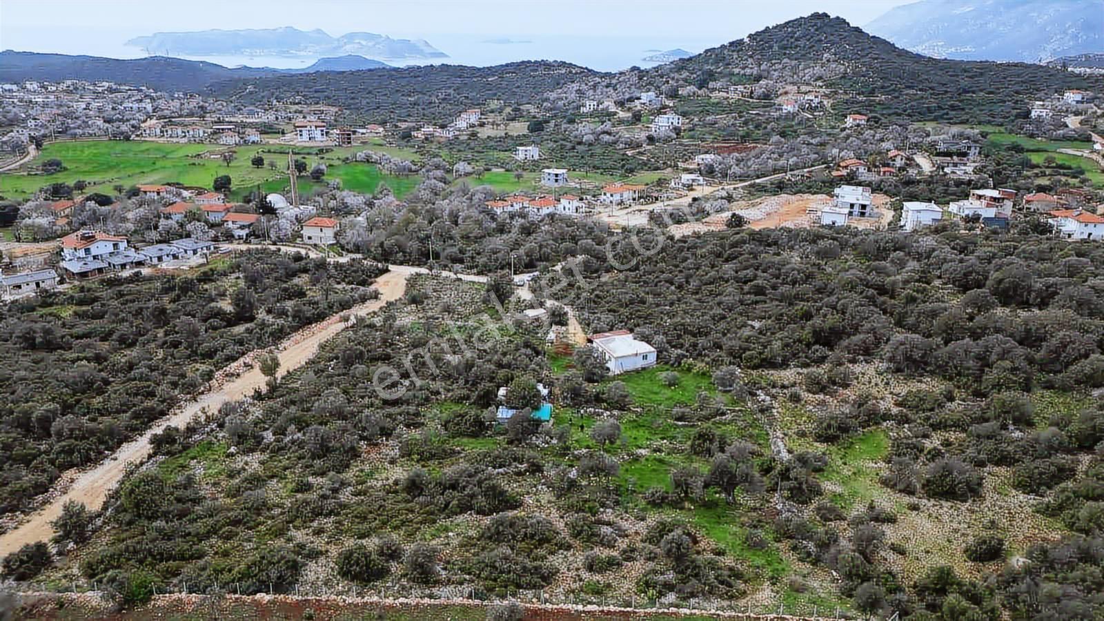 Antalya Kaş'ta 1483 M2 Doğayla İç İçe Deniz Manzaralı Arsa - Görsel 4