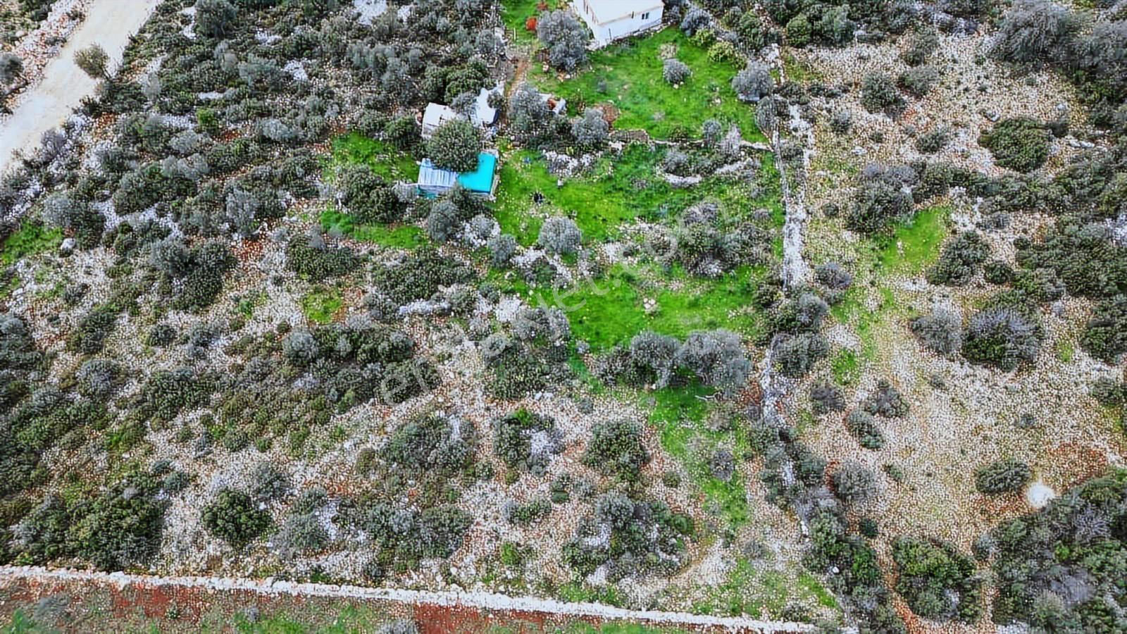 Antalya Kaş'ta 1483 M2 Doğayla İç İçe Deniz Manzaralı Arsa - Görsel 3