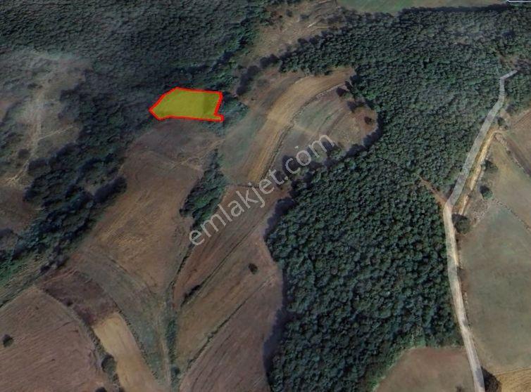 Sakarya Adapazarı Aşırlarda Yatırımlık Uygun Arazi - Görsel 5