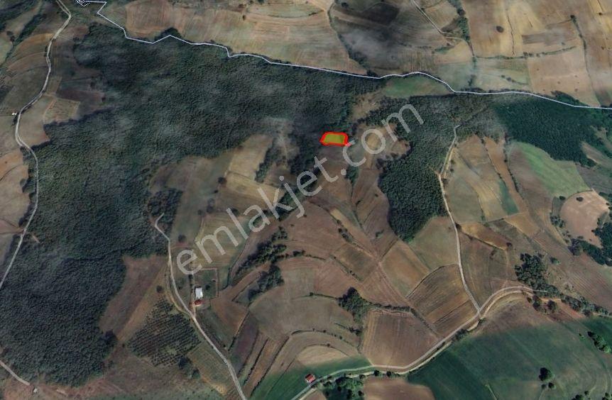 Sakarya Adapazarı Aşırlarda Yatırımlık Uygun Arazi - Görsel 4