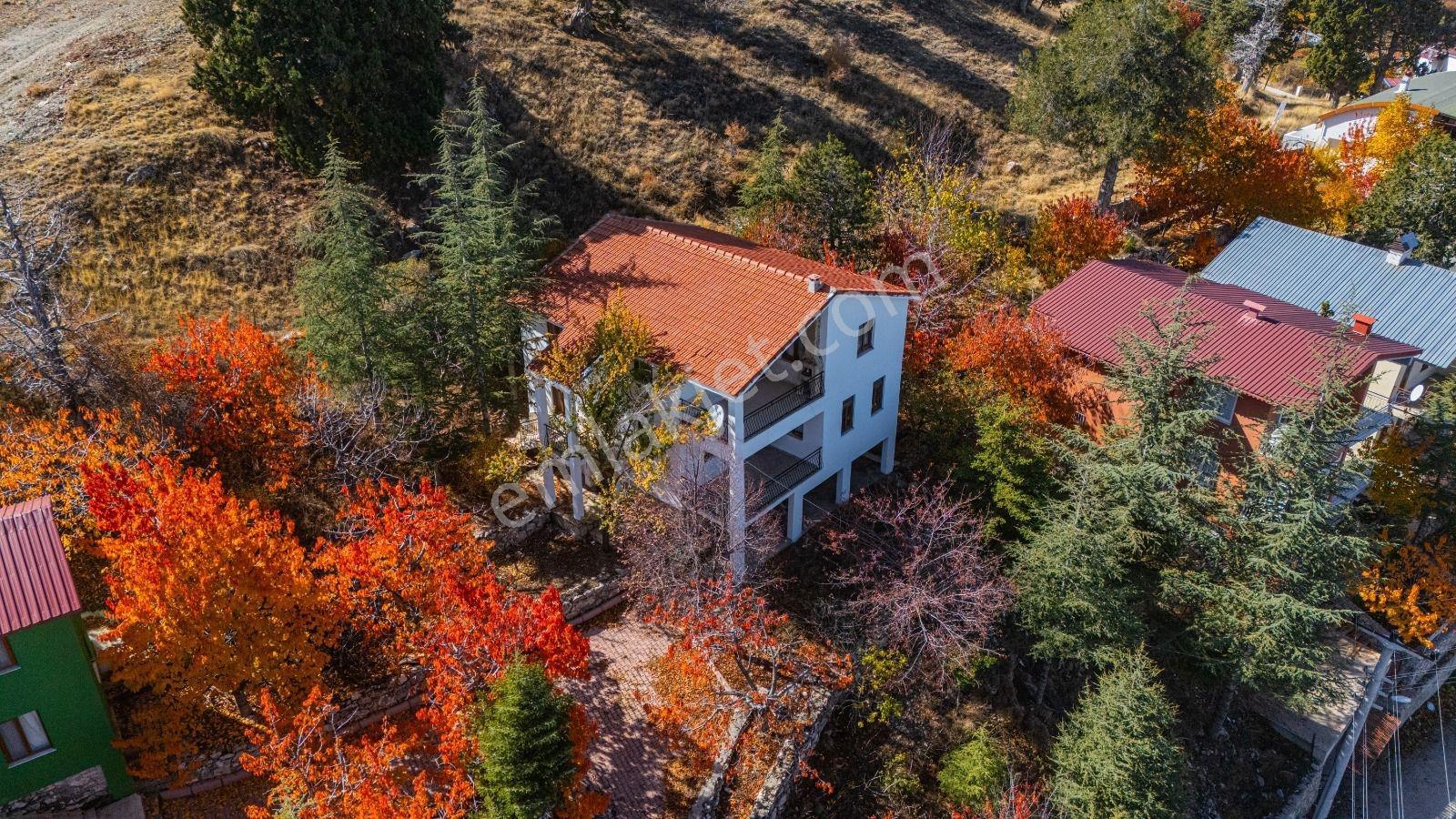 Antalya Geyikbayırı'nda Doğayla İç İçe Müstakil Villa