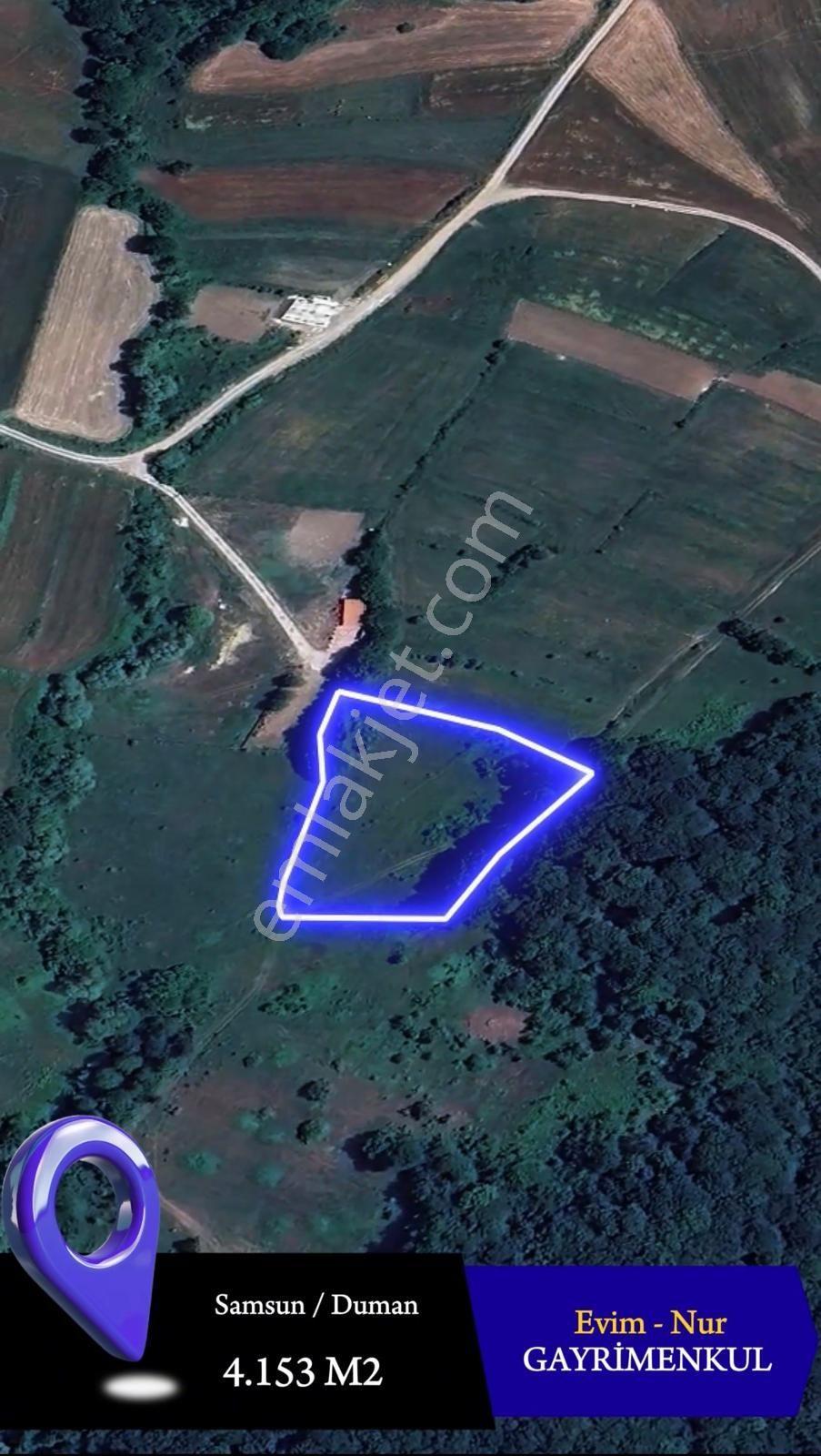 Evim-nur'dan Kavak Duman Mh. 4153m2 Yatırımlık Fırsat Tarla - Görsel 7