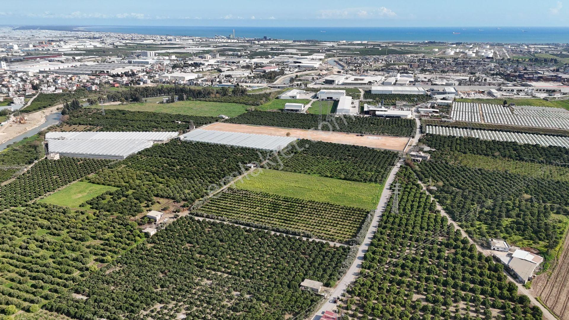 Bolkar Emlaktan Karacailyas'da 13.459 M²satılık Arazi Fırsatı ! - Görsel 13