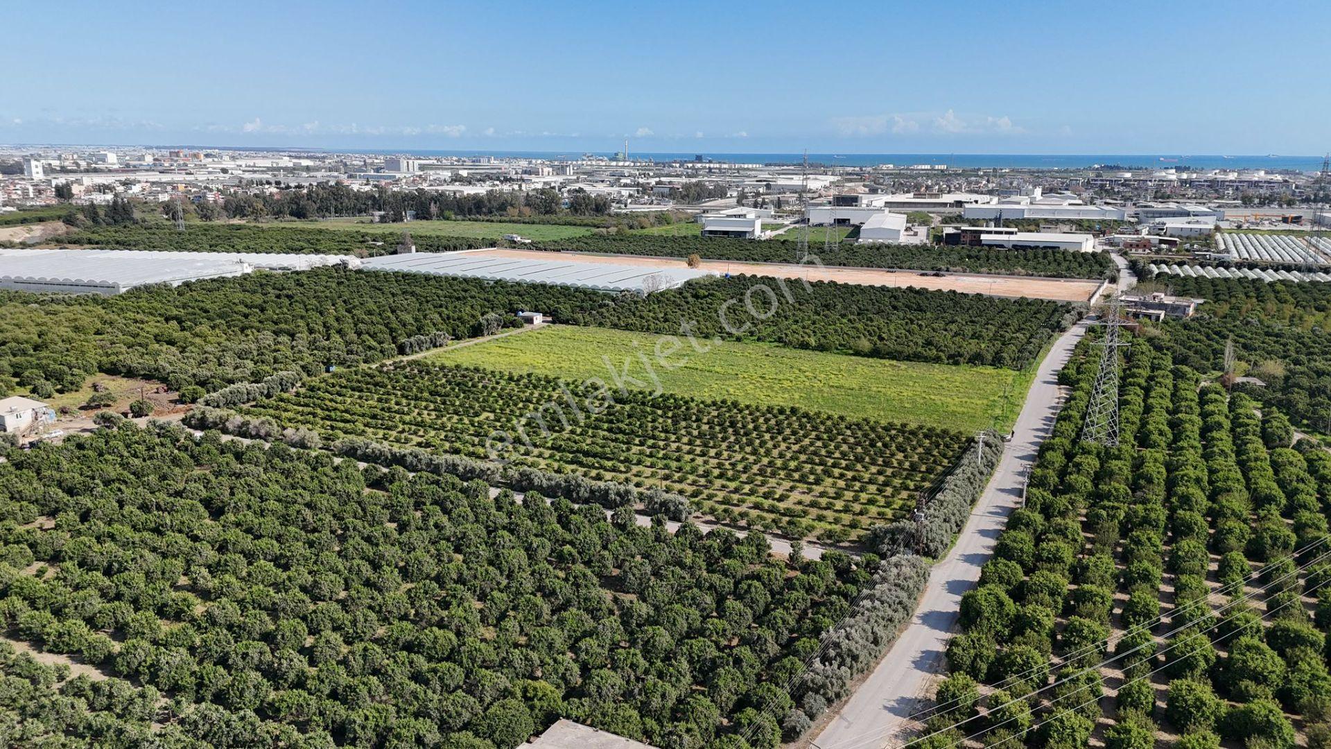 Bolkar Emlaktan Karacailyas'da 13.459 M²satılık Arazi Fırsatı ! - Görsel 5