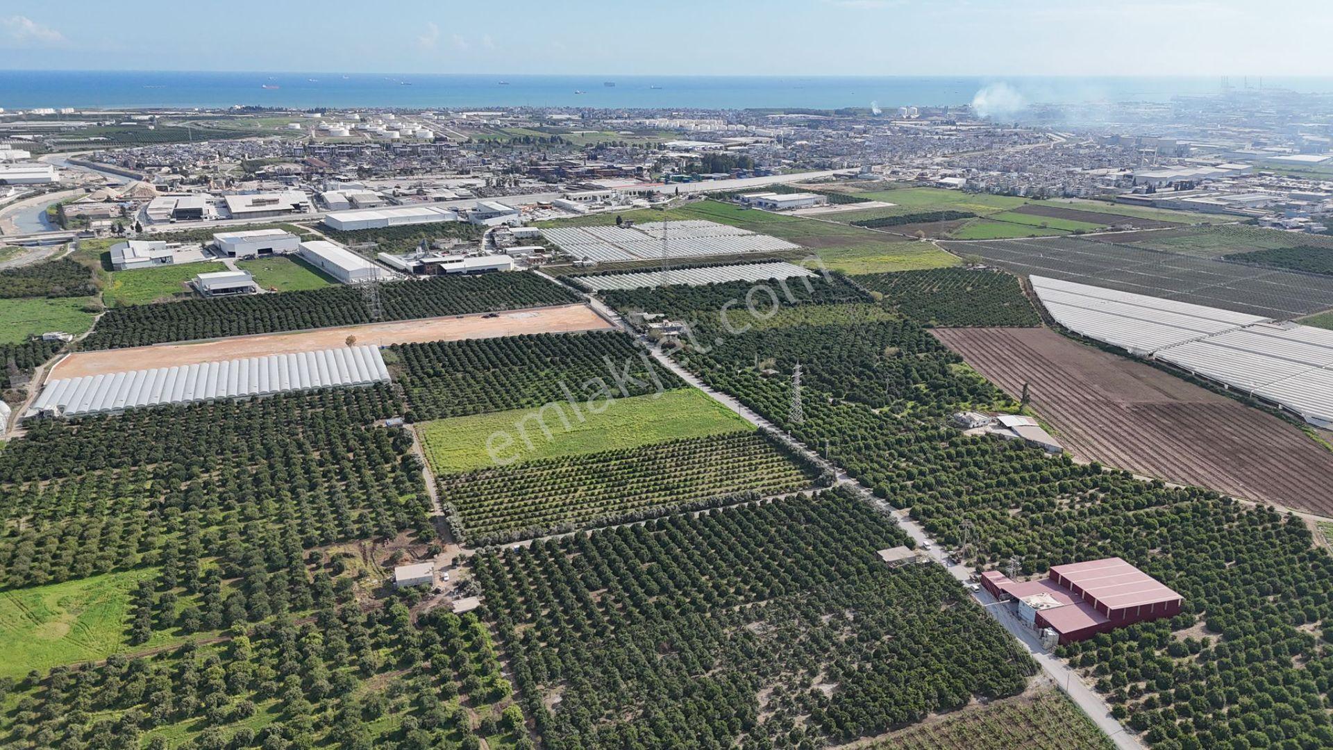 Bolkar Emlaktan Karacailyas'da 13.459 M²satılık Arazi Fırsatı ! - Görsel 14