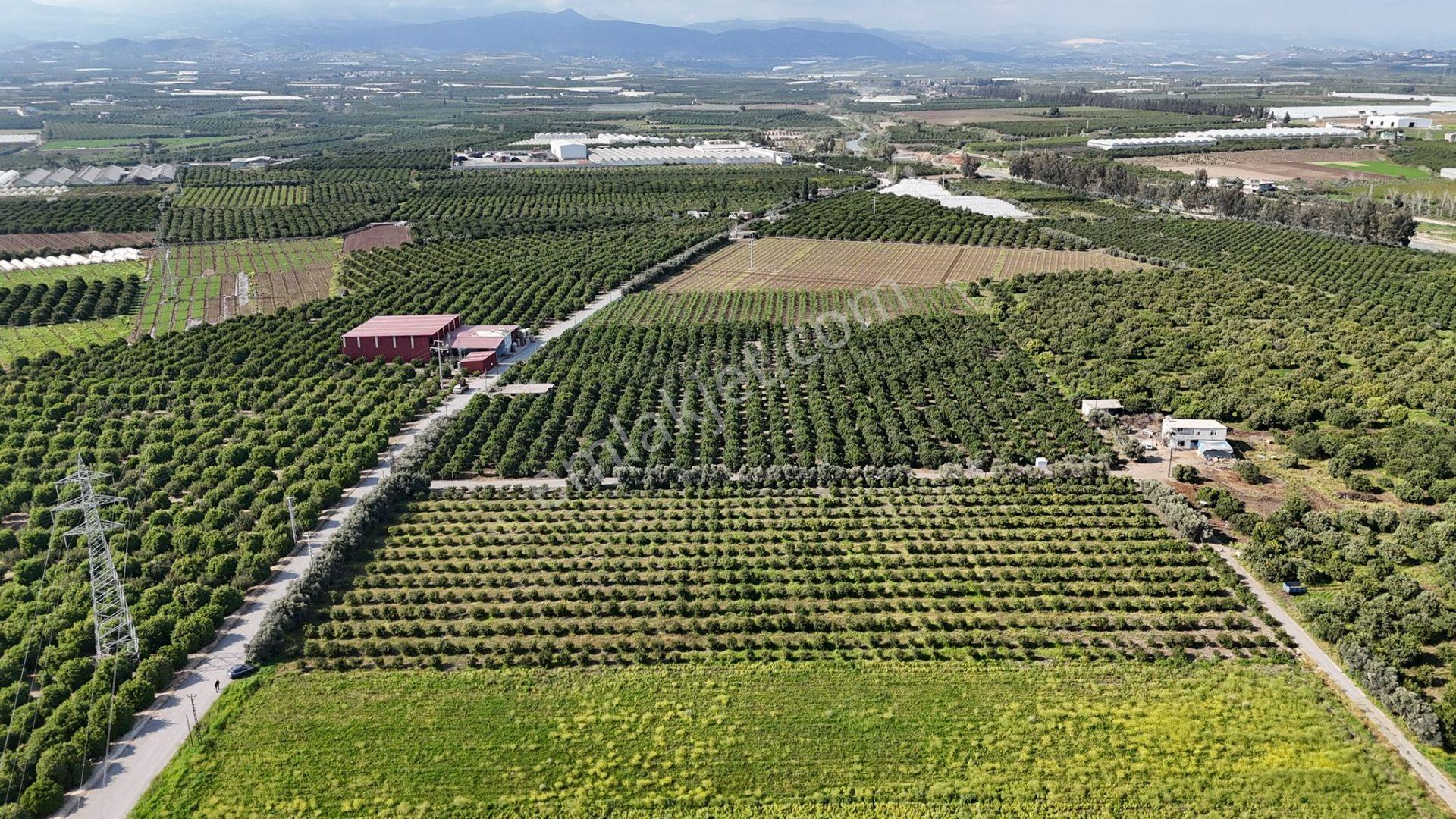 Bolkar Emlaktan Karacailyas'da 13.459 M²satılık Arazi Fırsatı ! - Görsel 4