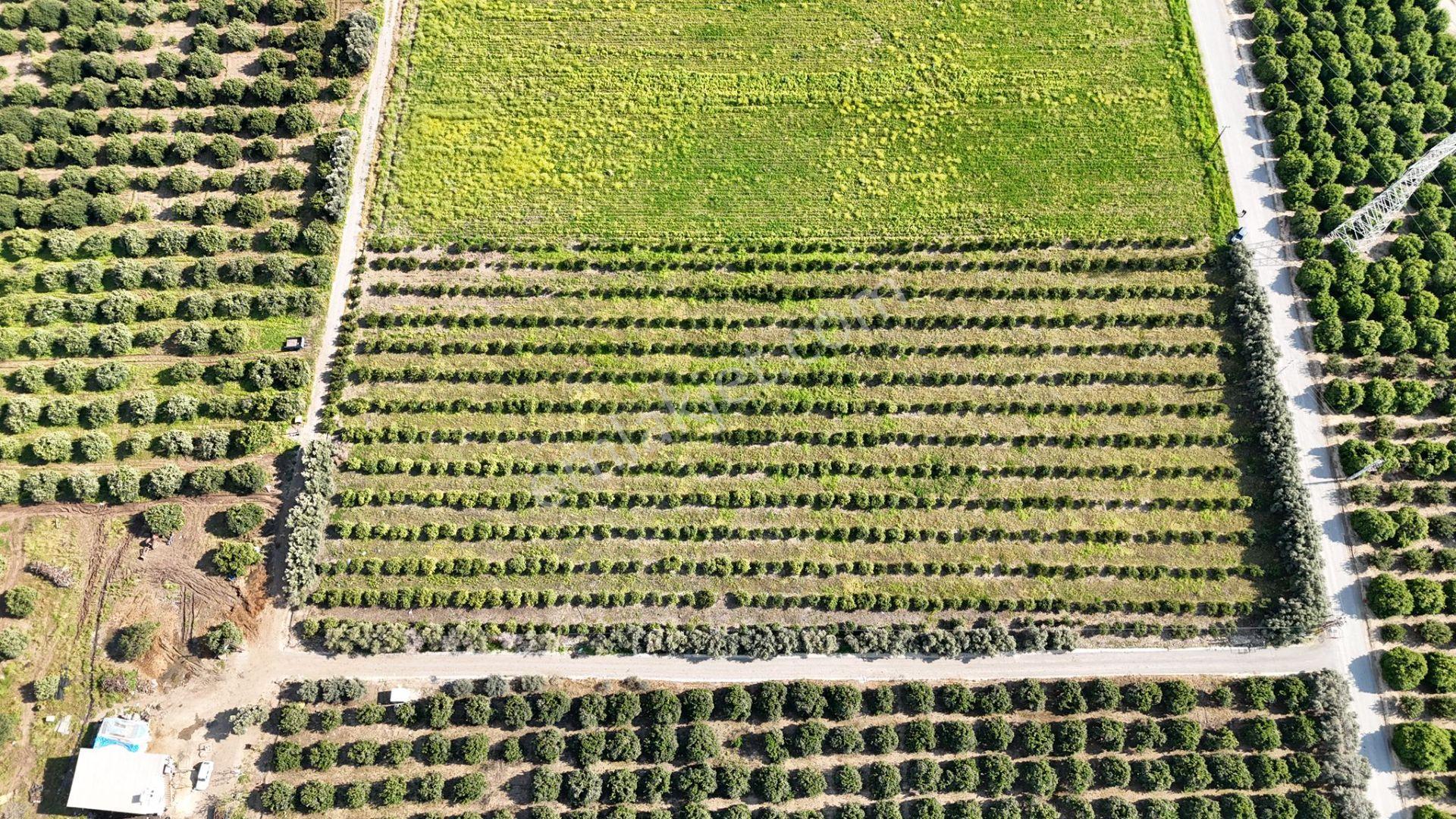 Bolkar Emlaktan Karacailyas'da 13.459 M²satılık Arazi Fırsatı ! - Görsel 10