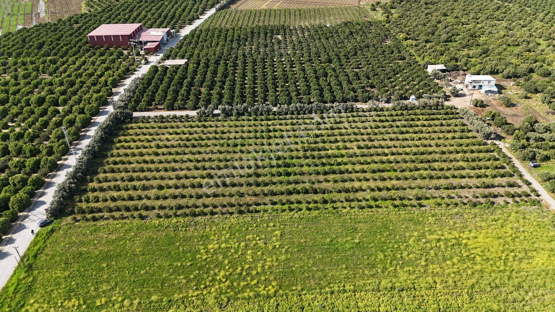 Bolkar Emlaktan Karacailyas'da 13.459 M²satılık Arazi Fırsatı ! - Görsel 3