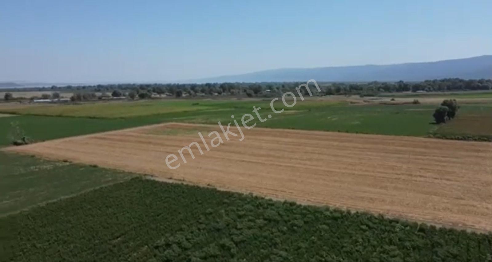 Öztarlacıdan Taşköprü Satılık Arazi 10222 M2 Kısmi Takaslı - Görsel 7