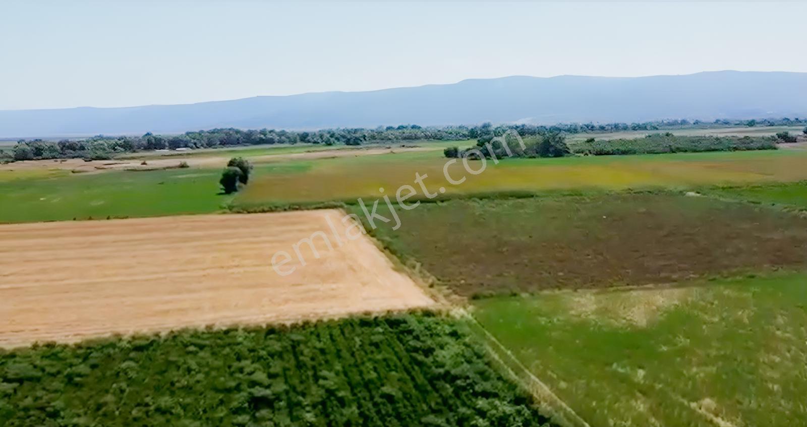 Öztarlacıdan Taşköprü Satılık Arazi 10222 M2 Kısmi Takaslı - Görsel 5