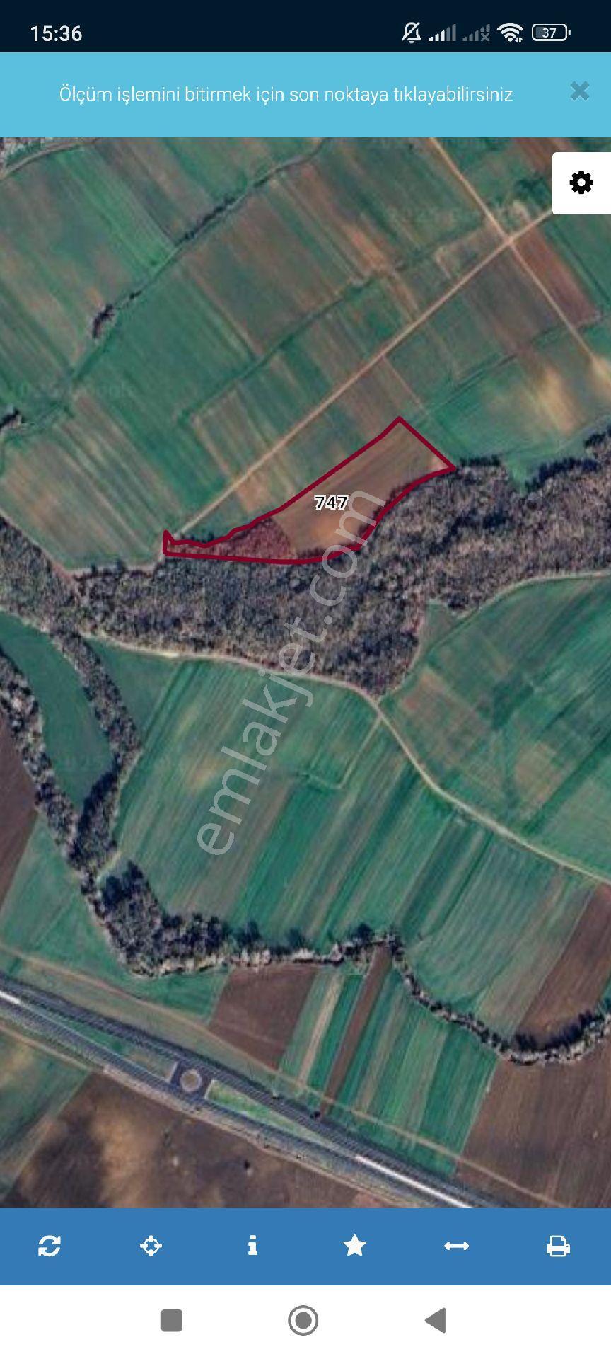 18500 Metrekare Kadastral Yolu Var - Görsel 4