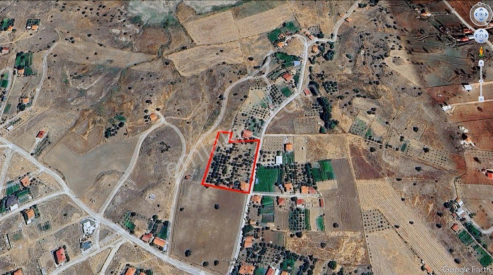 Köykentte Satılık Fırsat 5900 M2 Meyve Bahçesi Ve Köy Evi - Görsel 23