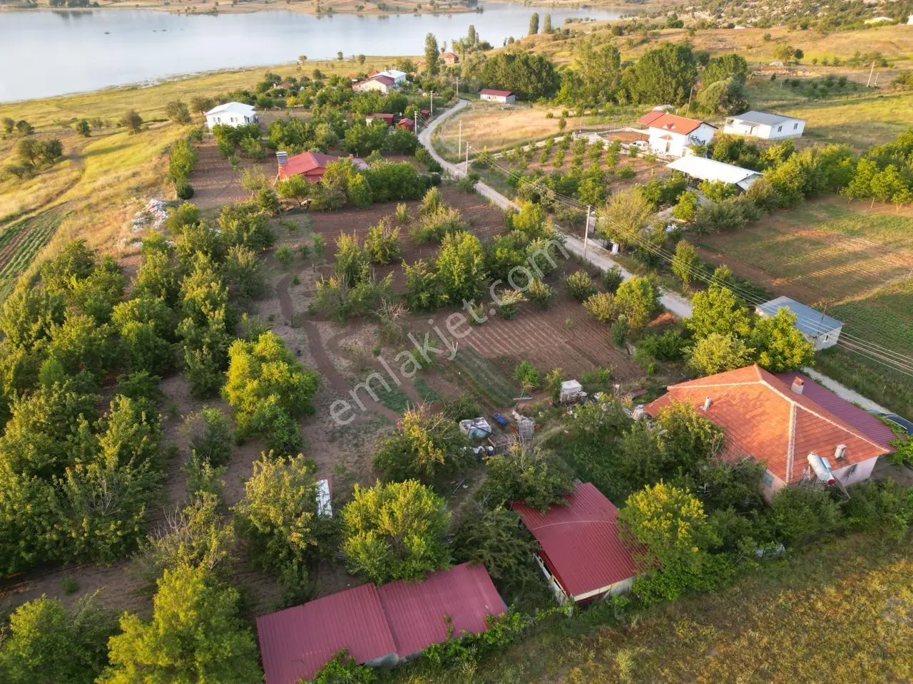 Köykentte Satılık Fırsat 5900 M2 Meyve Bahçesi Ve Köy Evi - Görsel 8