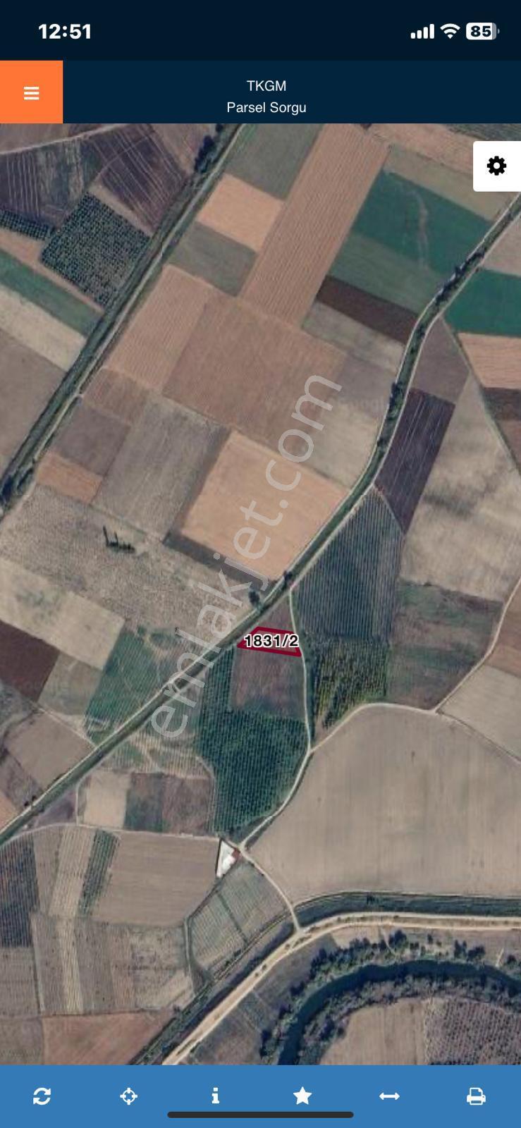 Bursa Mustafa Kemalpaşa İlçesi Ayaz Mahallesinde Satılık Armut Bahçesi - Görsel 2
