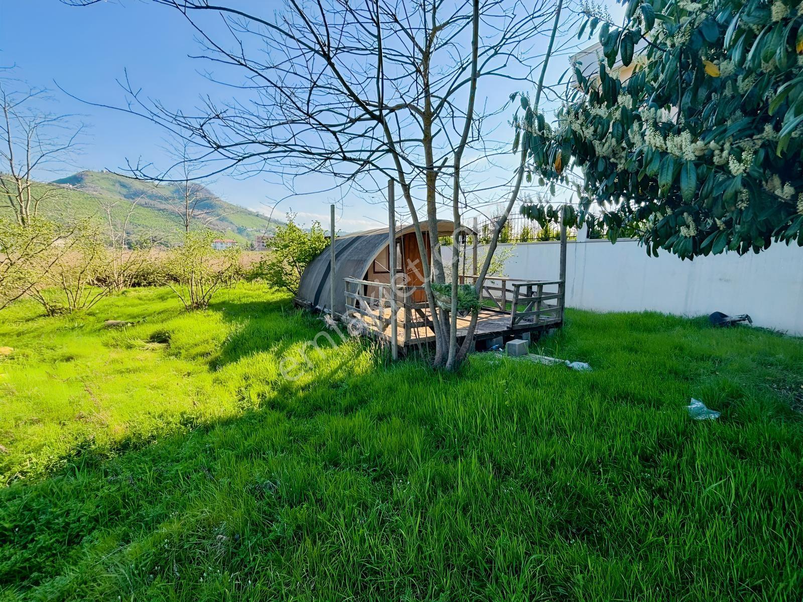 Ordu Turnasuyu Mah. 500m2 Kiralık Arsa - Görsel 2