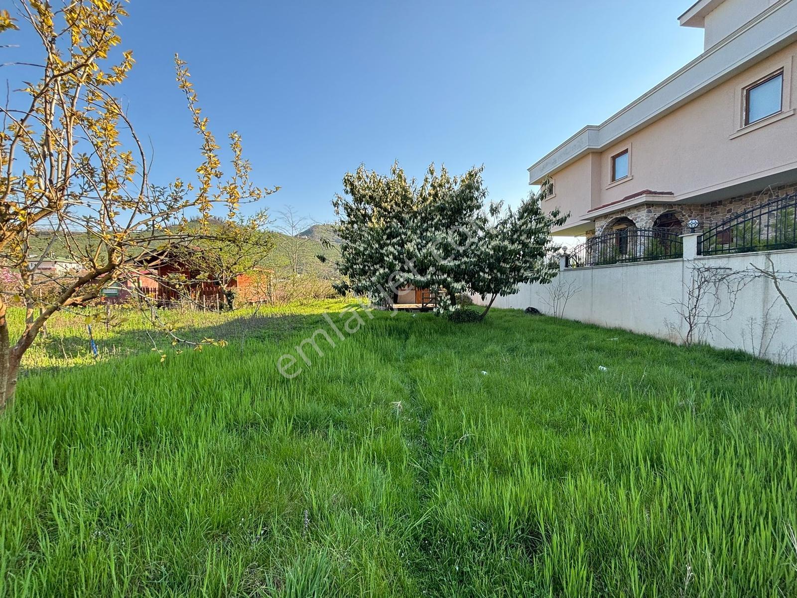 Ordu Turnasuyu Mah. 500m2 Kiralık Arsa - Görsel 6
