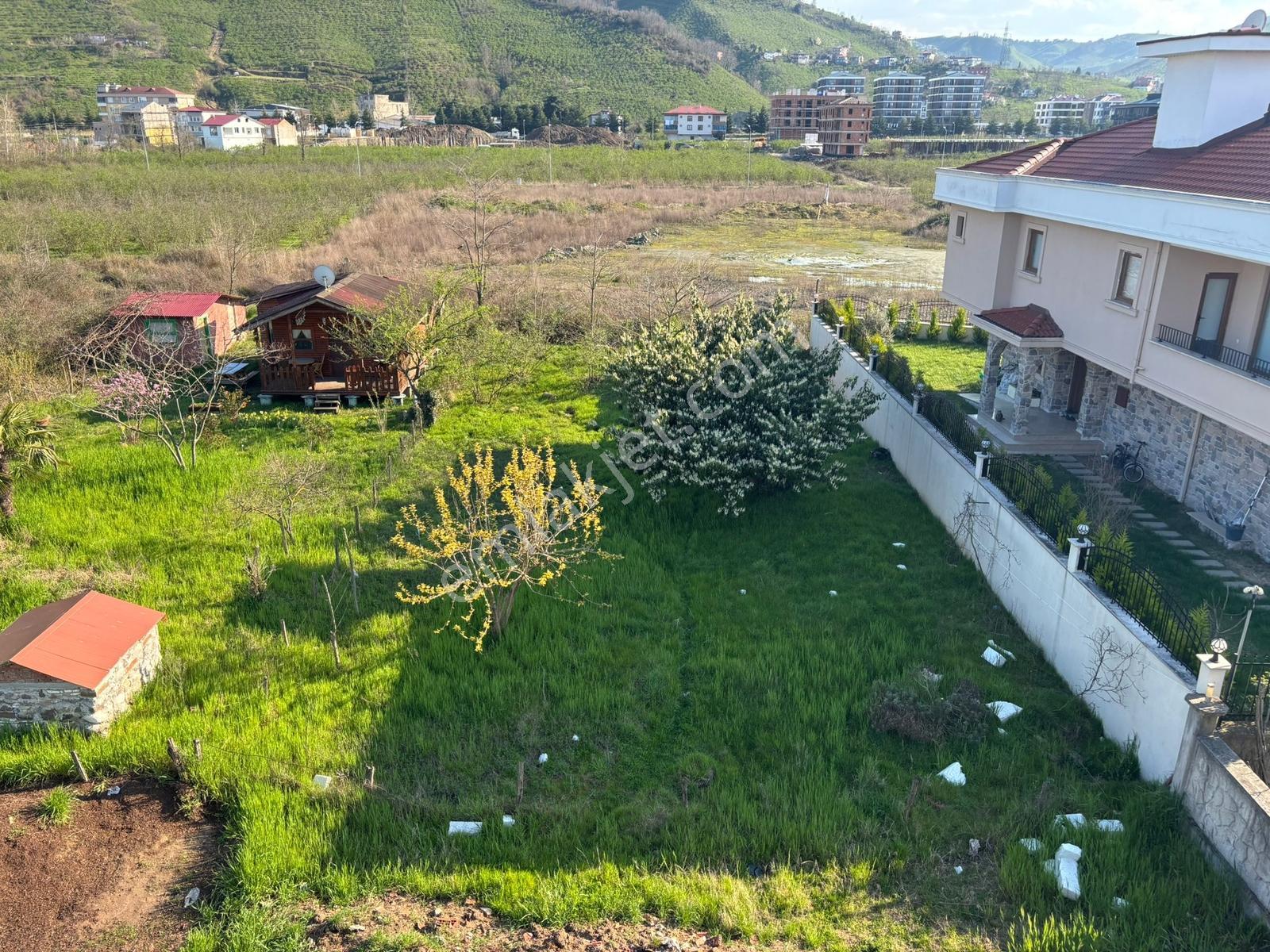 Ordu Turnasuyu Mah. 500m2 Kiralık Arsa