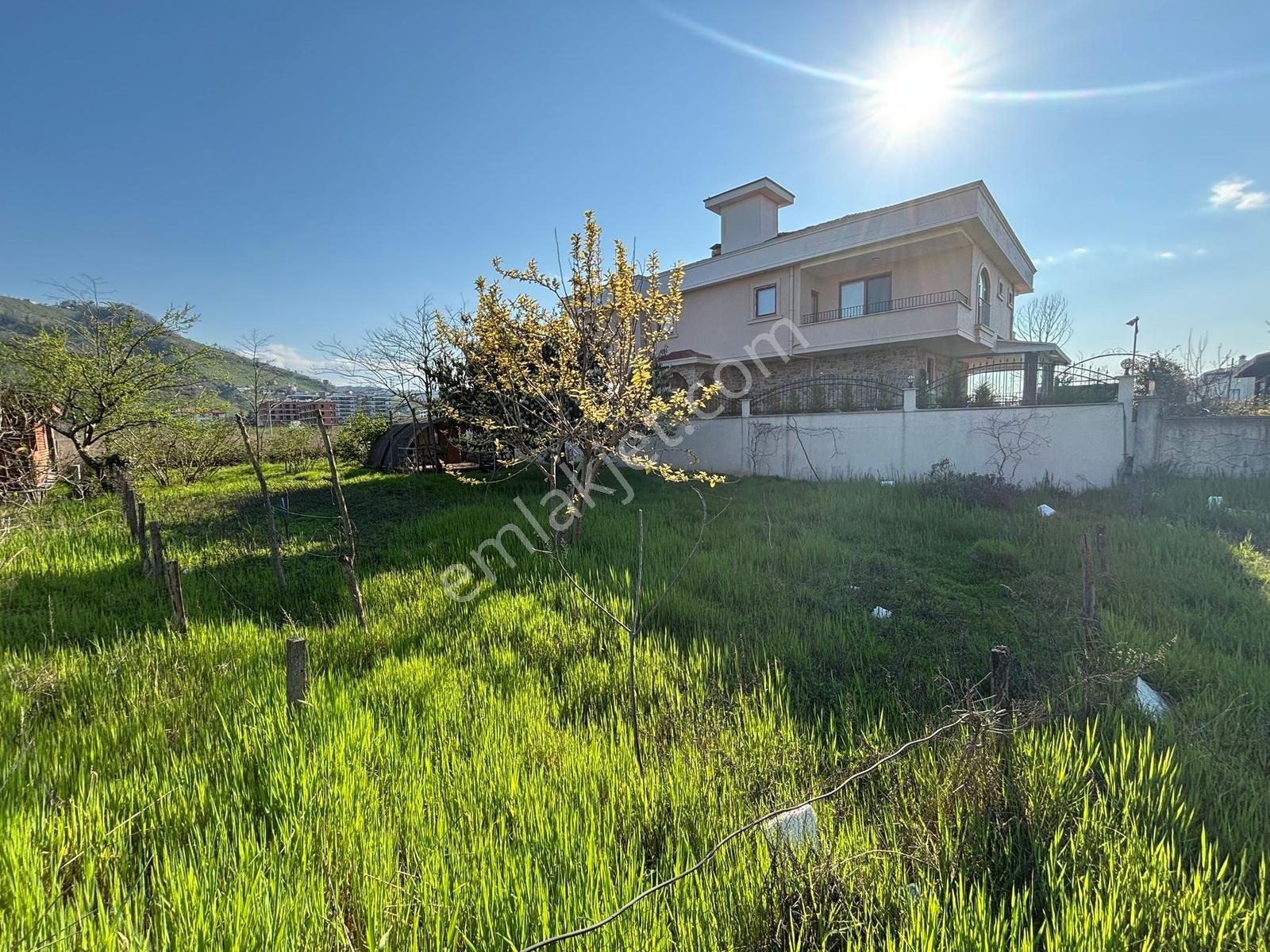 Ordu Turnasuyu Mah. 500m2 Kiralık Arsa - Görsel 7