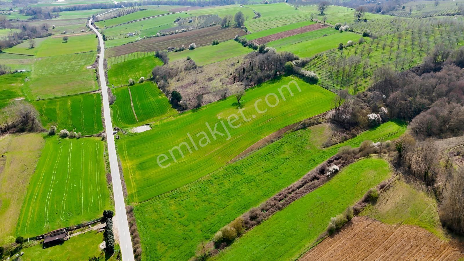 Cb Akademi Akmeşe Gişeler Satılık Asfalt Cephe 19.803 M2 Tarla - Görsel 16