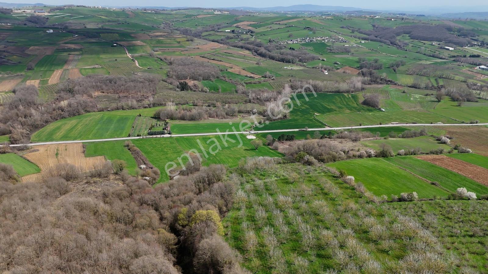 Cb Akademi Akmeşe Gişeler Satılık Asfalt Cephe 19.803 M2 Tarla - Görsel 13