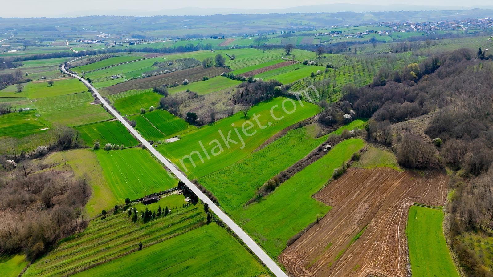 Cb Akademi Akmeşe Gişeler Satılık Asfalt Cephe 19.803 M2 Tarla - Görsel 11
