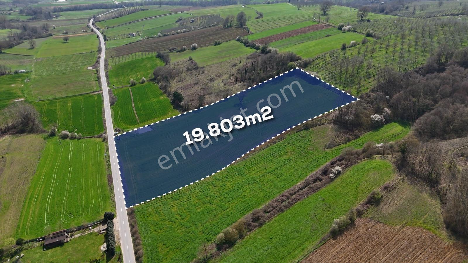 Cb Akademi Akmeşe Gişeler Satılık Asfalt Cephe 19.803 M2 Tarla - Görsel 8