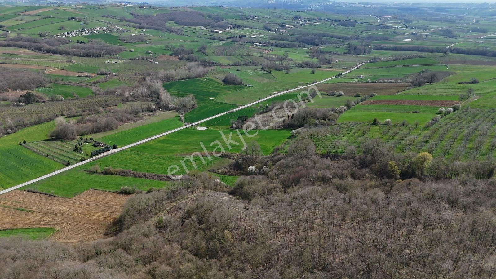 Cb Akademi Akmeşe Gişeler Satılık Asfalt Cephe 19.803 M2 Tarla - Görsel 14