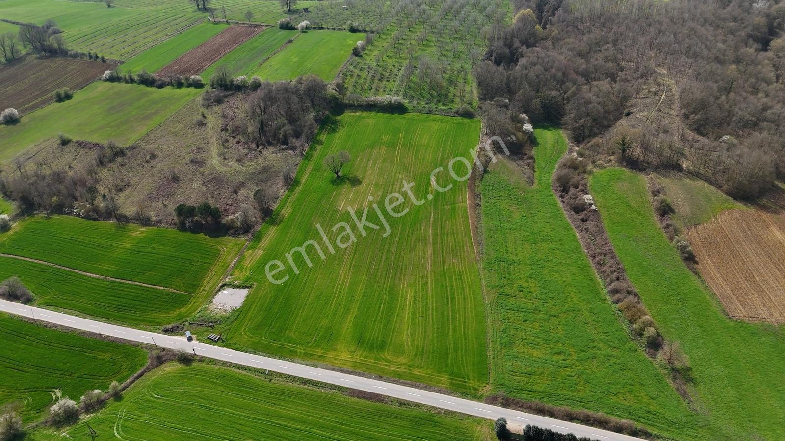 Cb Akademi Akmeşe Gişeler Satılık Asfalt Cephe 19.803 M2 Tarla - Görsel 10