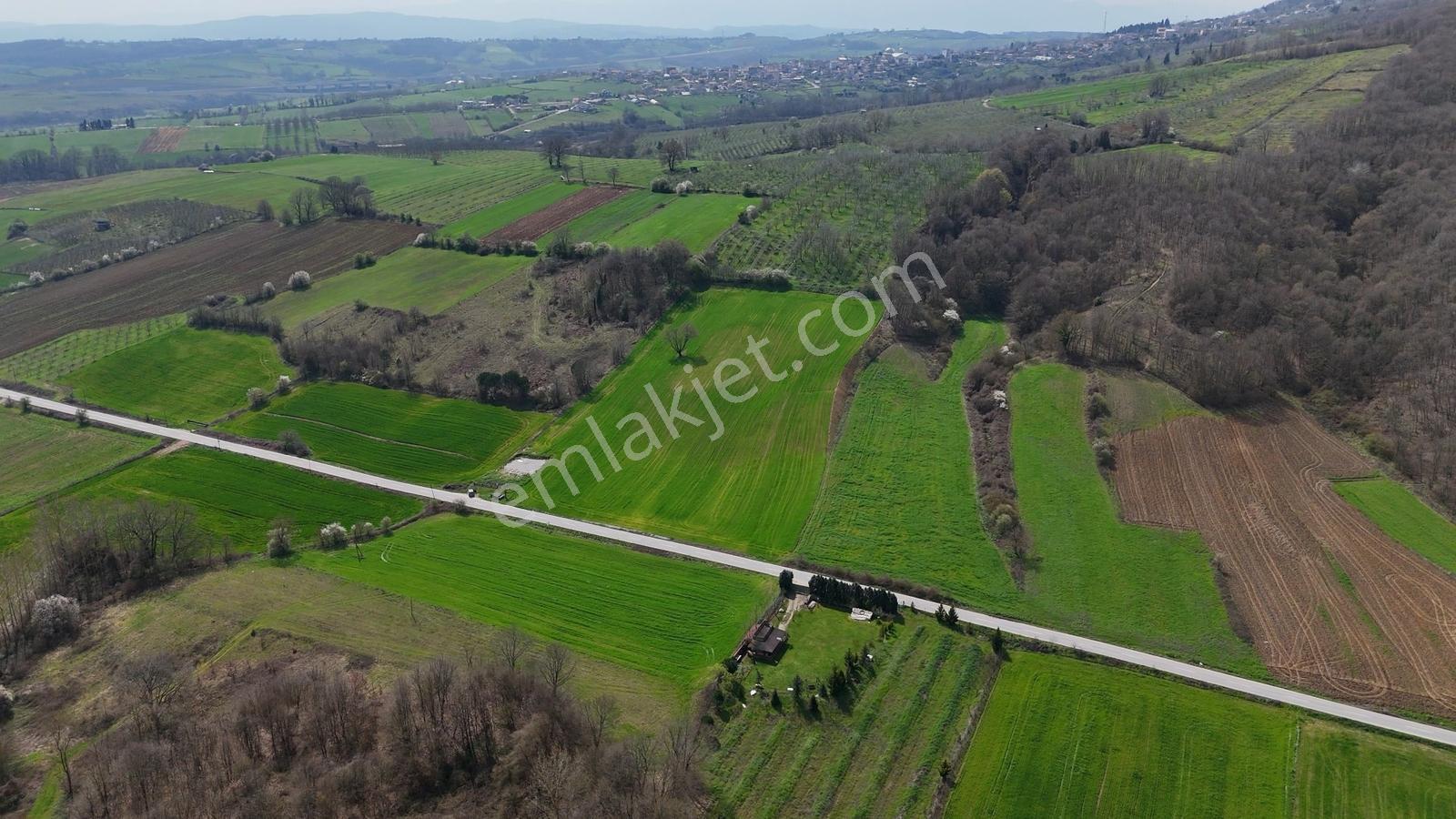 Cb Akademi Akmeşe Gişeler Satılık Asfalt Cephe 19.803 M2 Tarla - Görsel 19