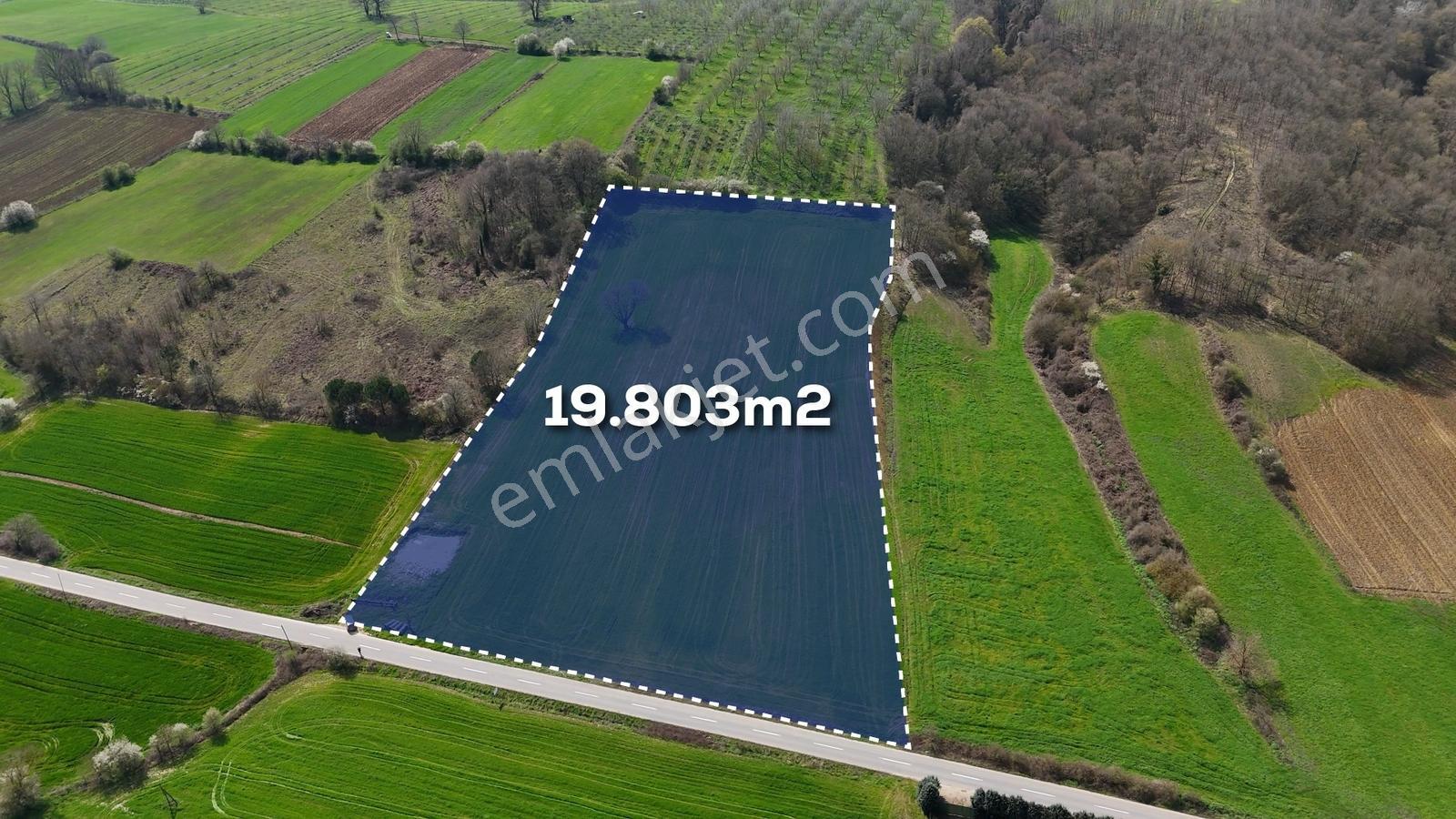 Cb Akademi Akmeşe Gişeler Satılık Asfalt Cephe 19.803 M2 Tarla
