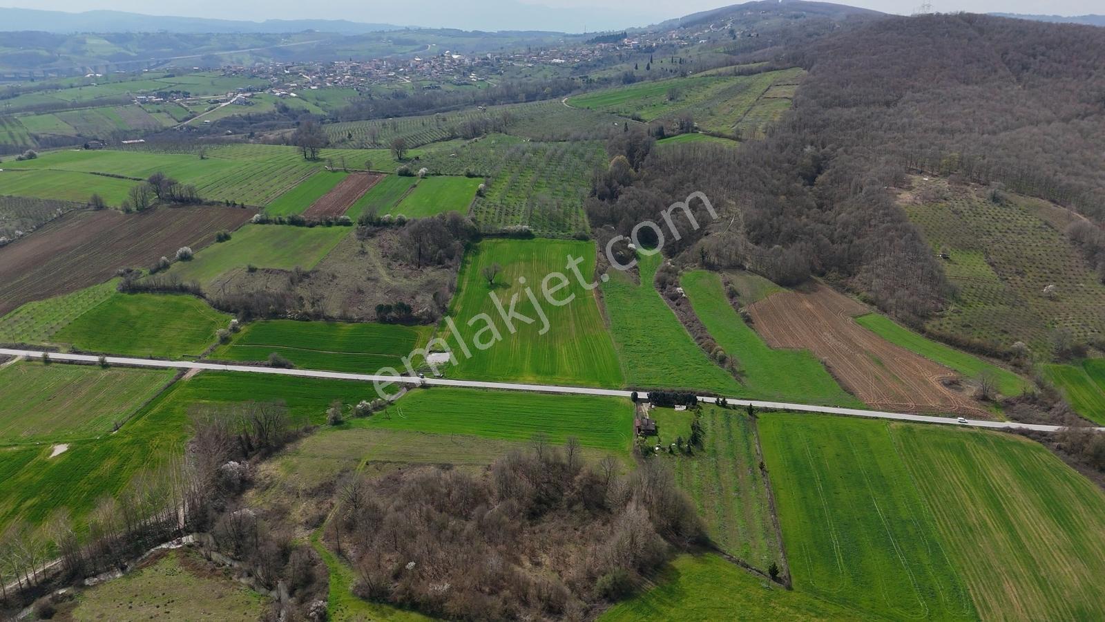 Cb Akademi Akmeşe Gişeler Satılık Asfalt Cephe 19.803 M2 Tarla - Görsel 9