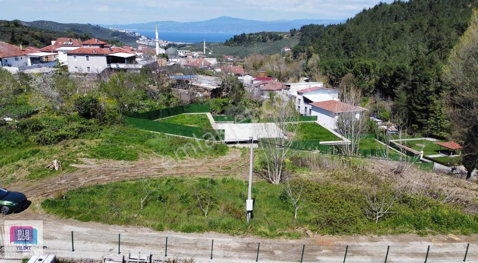 Dialog Yıldız /yolu Ve Elektriği Mevcut Değerli Yatırım Arazisi