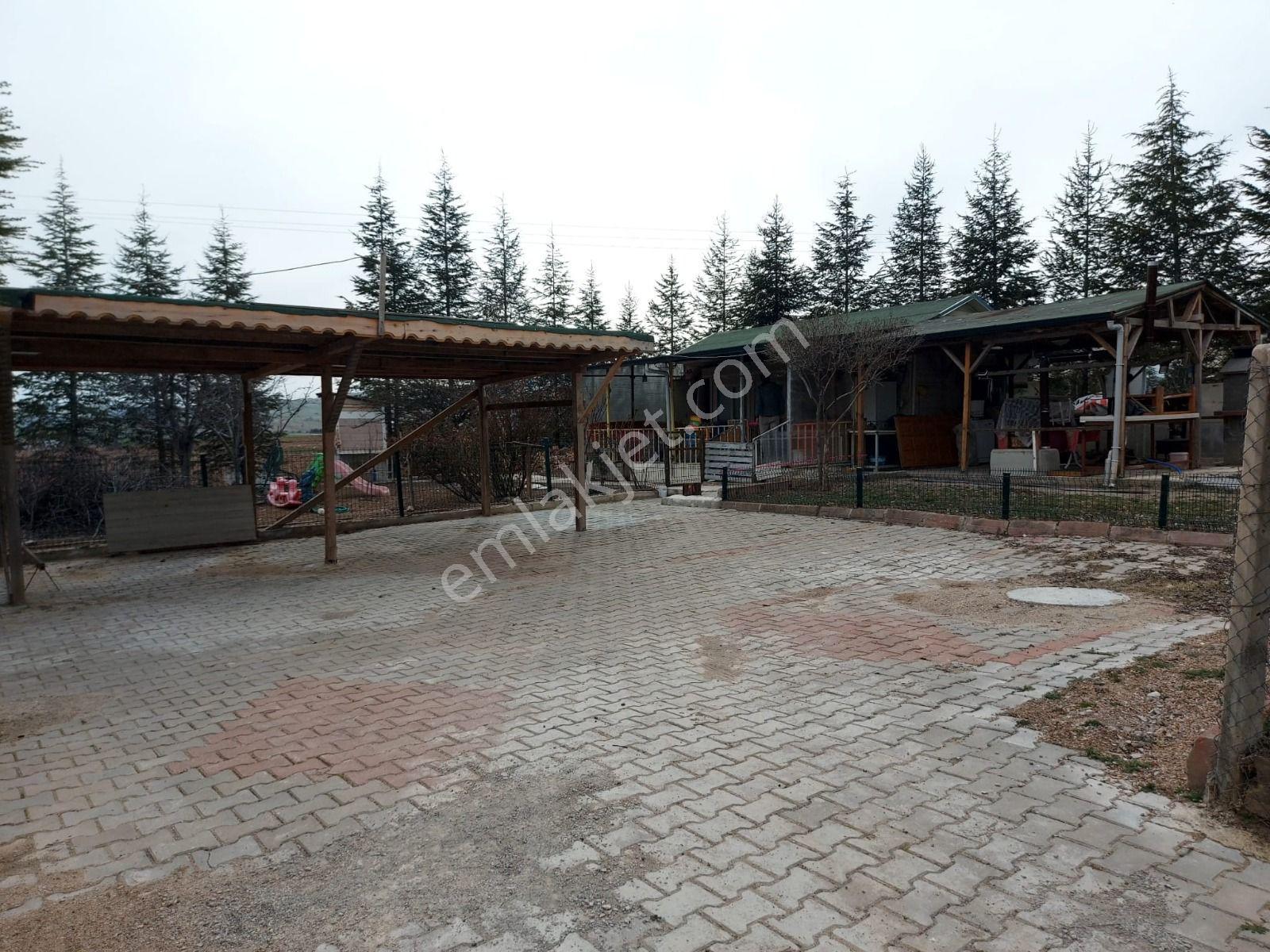 Sena Emlak Yenikayı Da Hazır Bahce Satılık - Görsel 25