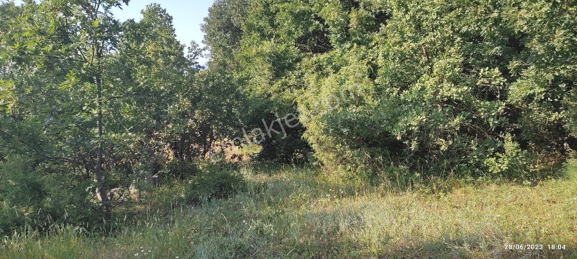 Satılık Müstakil Tarla - Görsel 4
