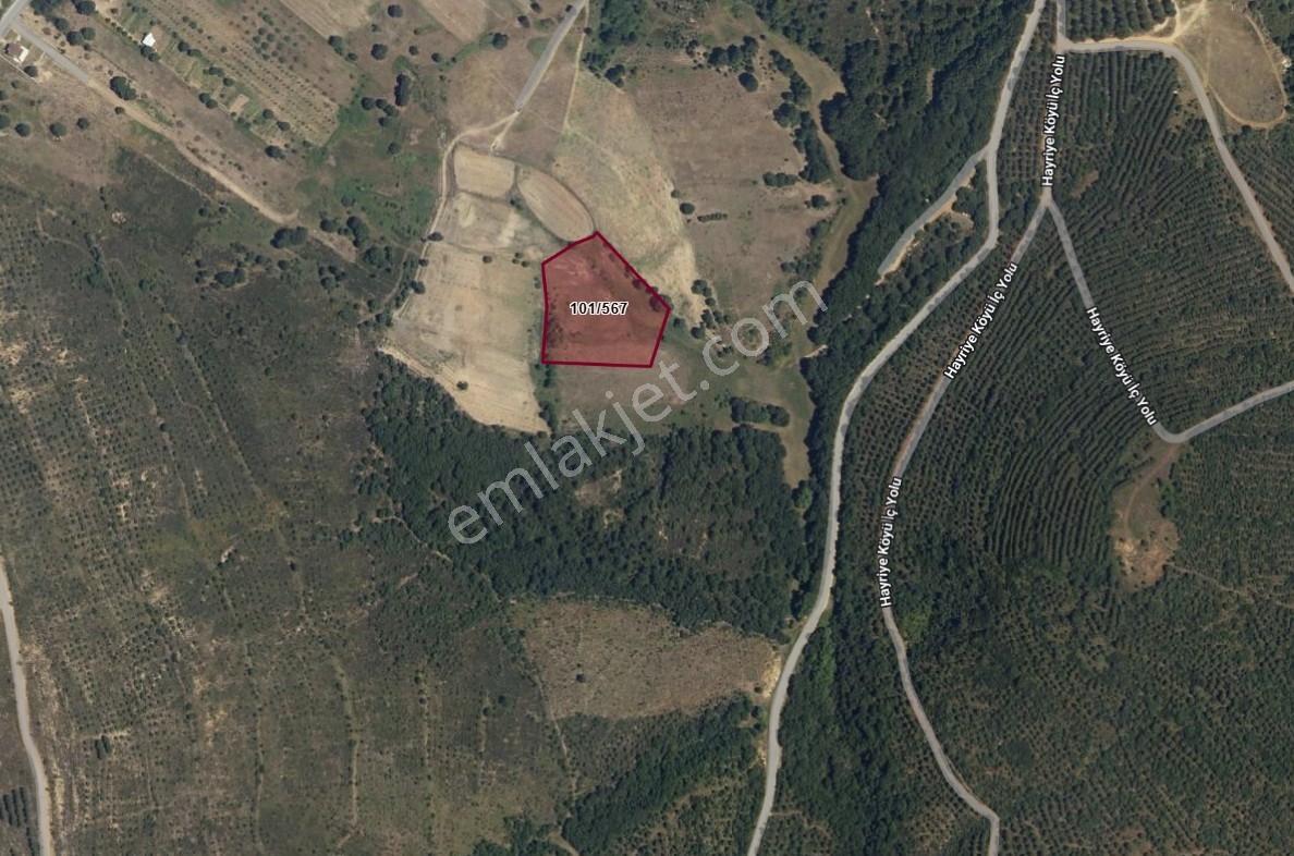 Tokdemir Gayrimenkul'den Hayriye Köyünde Harika Tarla - Görsel 3