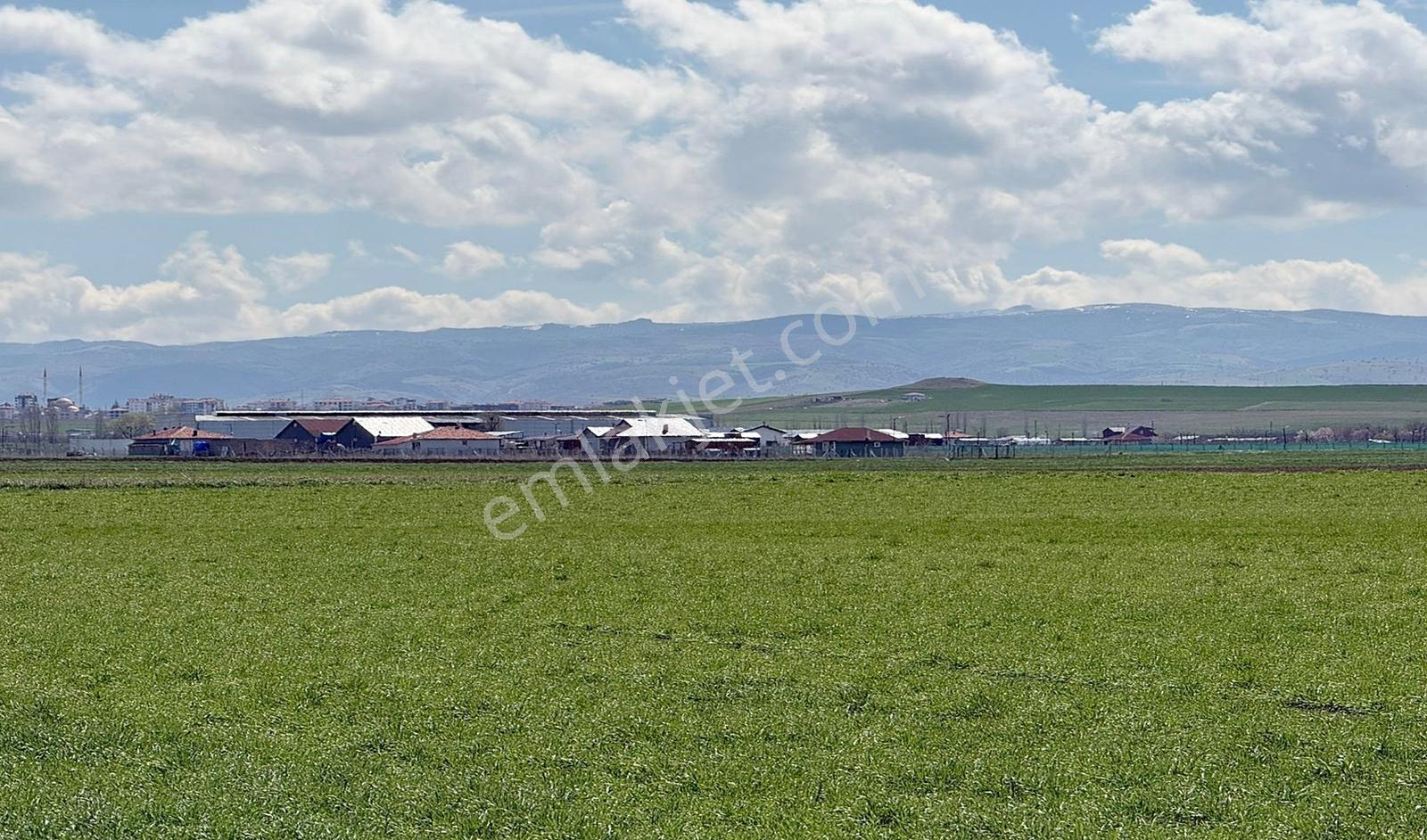 Yasa'dan Çubuk Taşpınar'da Tek Tapu Tarla !!! - Görsel 11