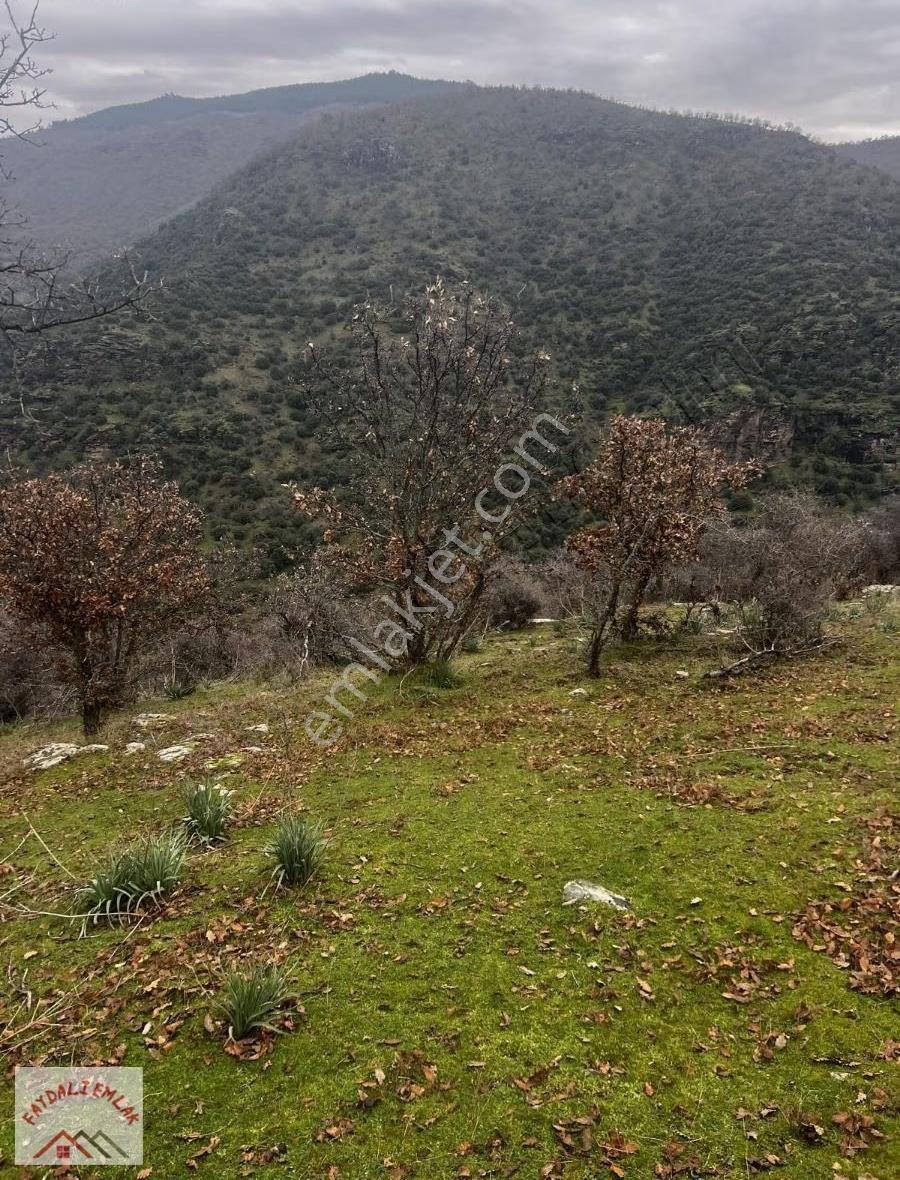 Manisa Köprübaşı Yabacıda 28.500m2 Yatırımlık Tarla - Görsel 4