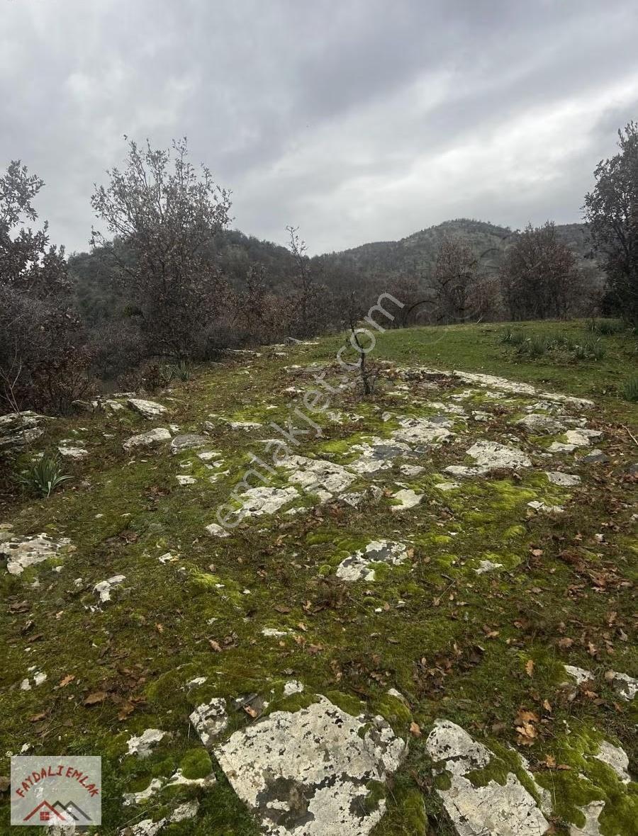 Manisa Köprübaşı Yabacıda 28.500m2 Yatırımlık Tarla - Görsel 7