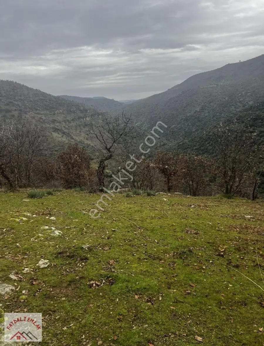 Manisa Köprübaşı Yabacıda 28.500m2 Yatırımlık Tarla - Görsel 2