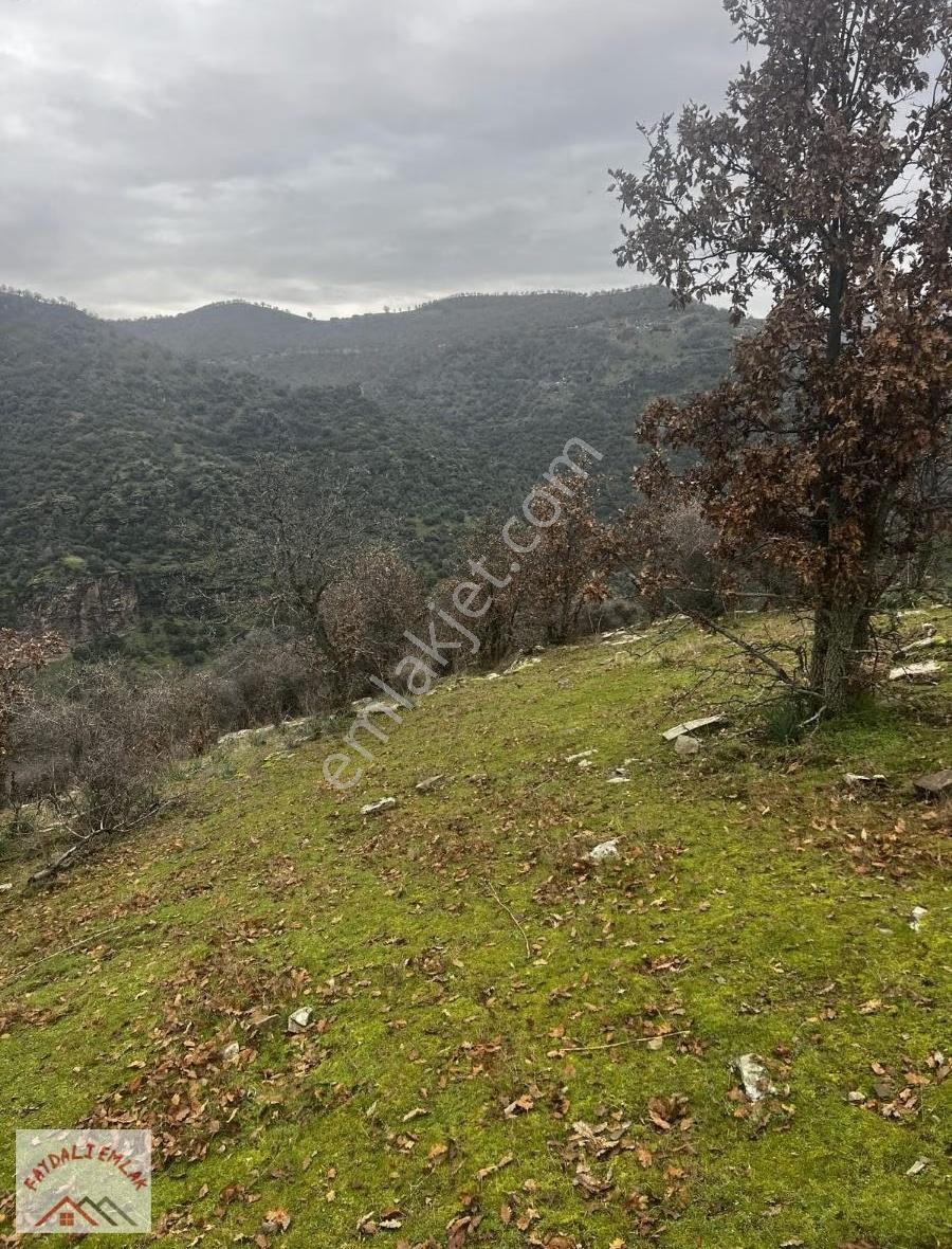 Manisa Köprübaşı Yabacıda 28.500m2 Yatırımlık Tarla - Görsel 5