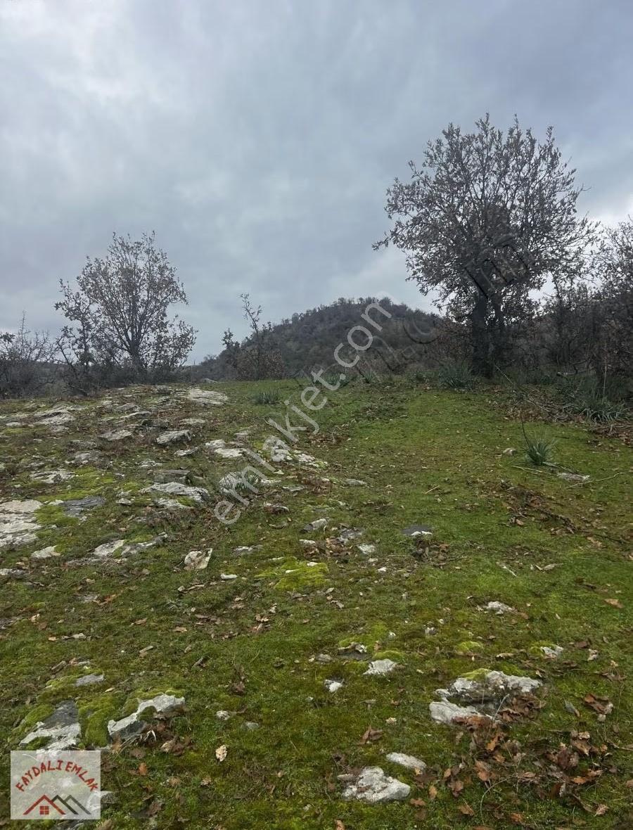 Manisa Köprübaşı Yabacıda 28.500m2 Yatırımlık Tarla - Görsel 3