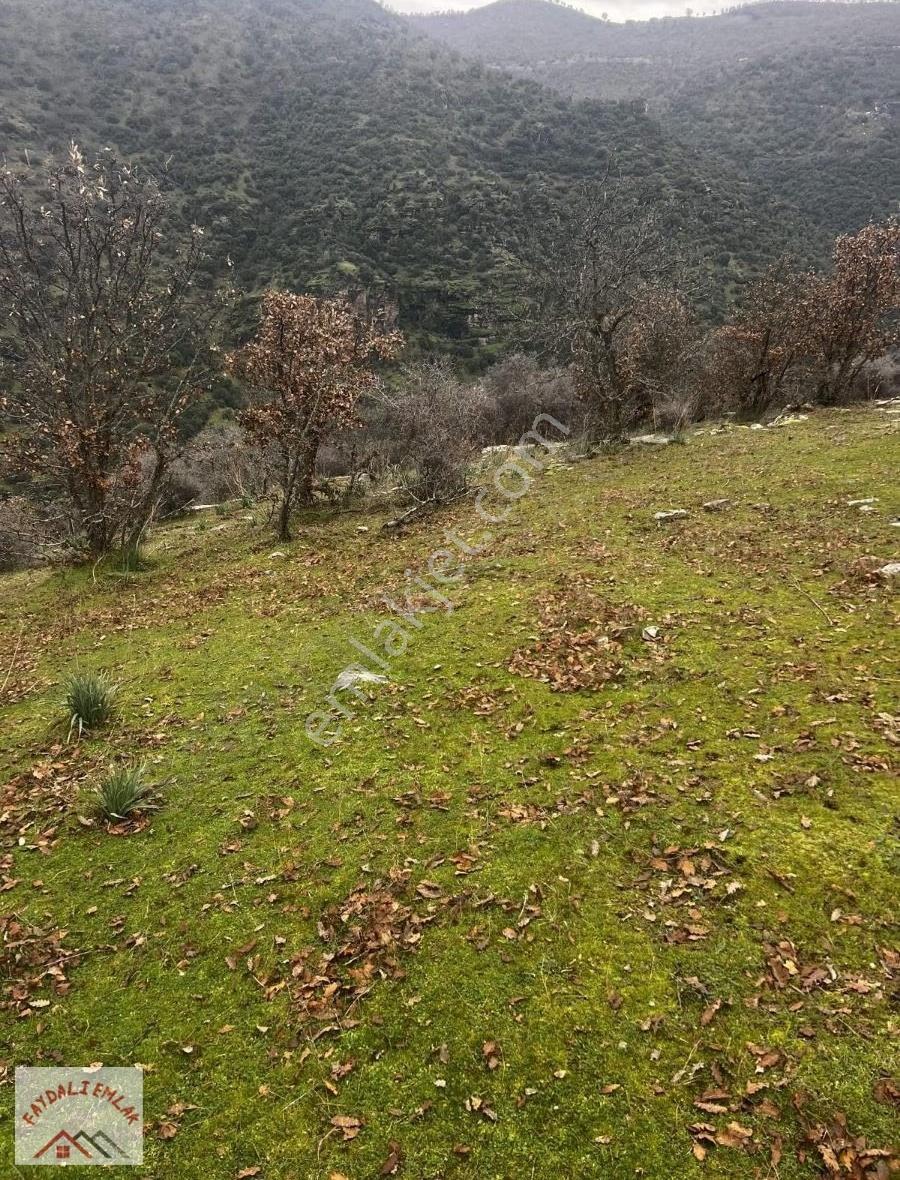 Manisa Köprübaşı Yabacıda 28.500m2 Yatırımlık Tarla