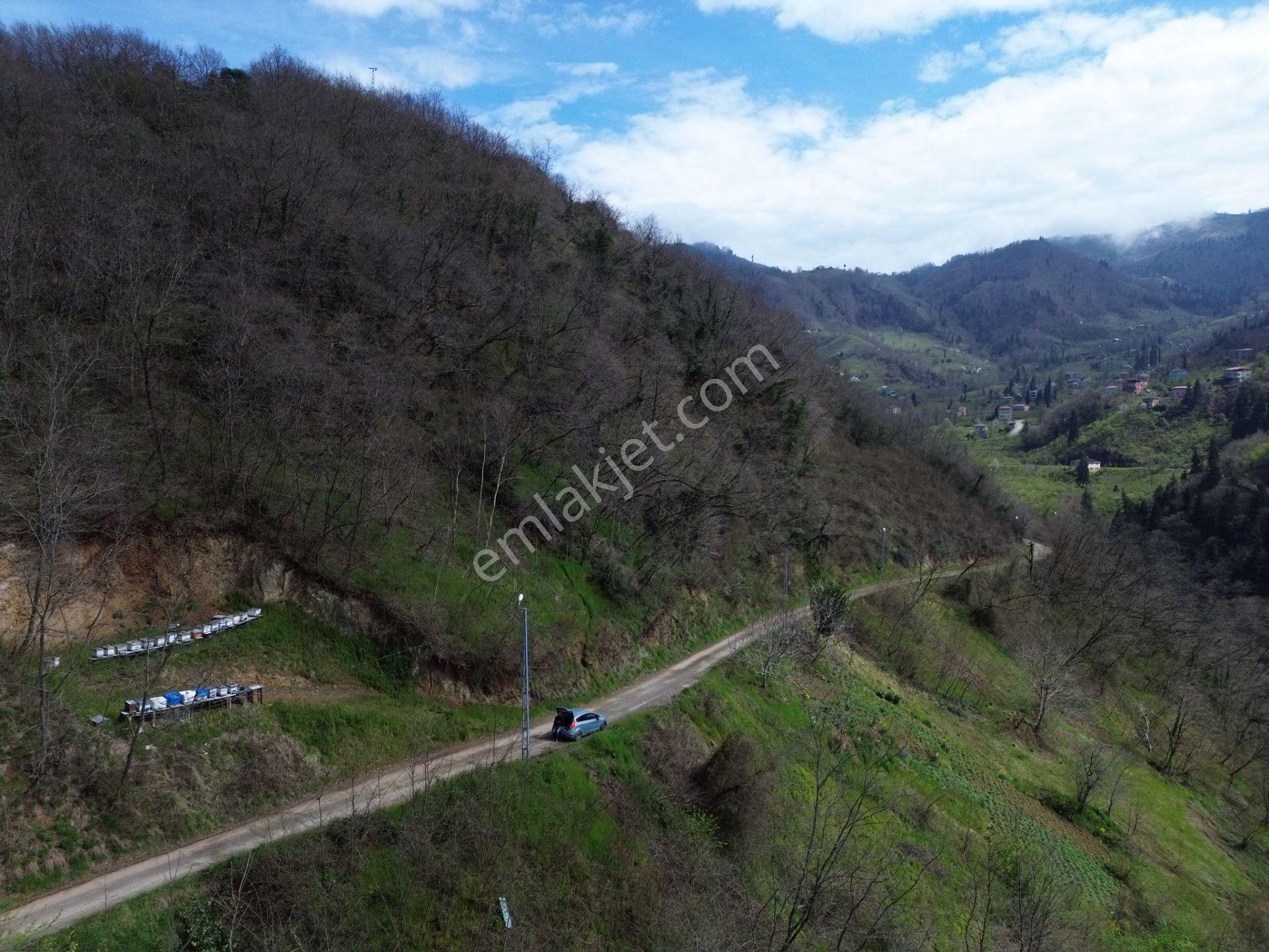 Trabzon Ortahisar'da Satılık Arazi - Görsel 12