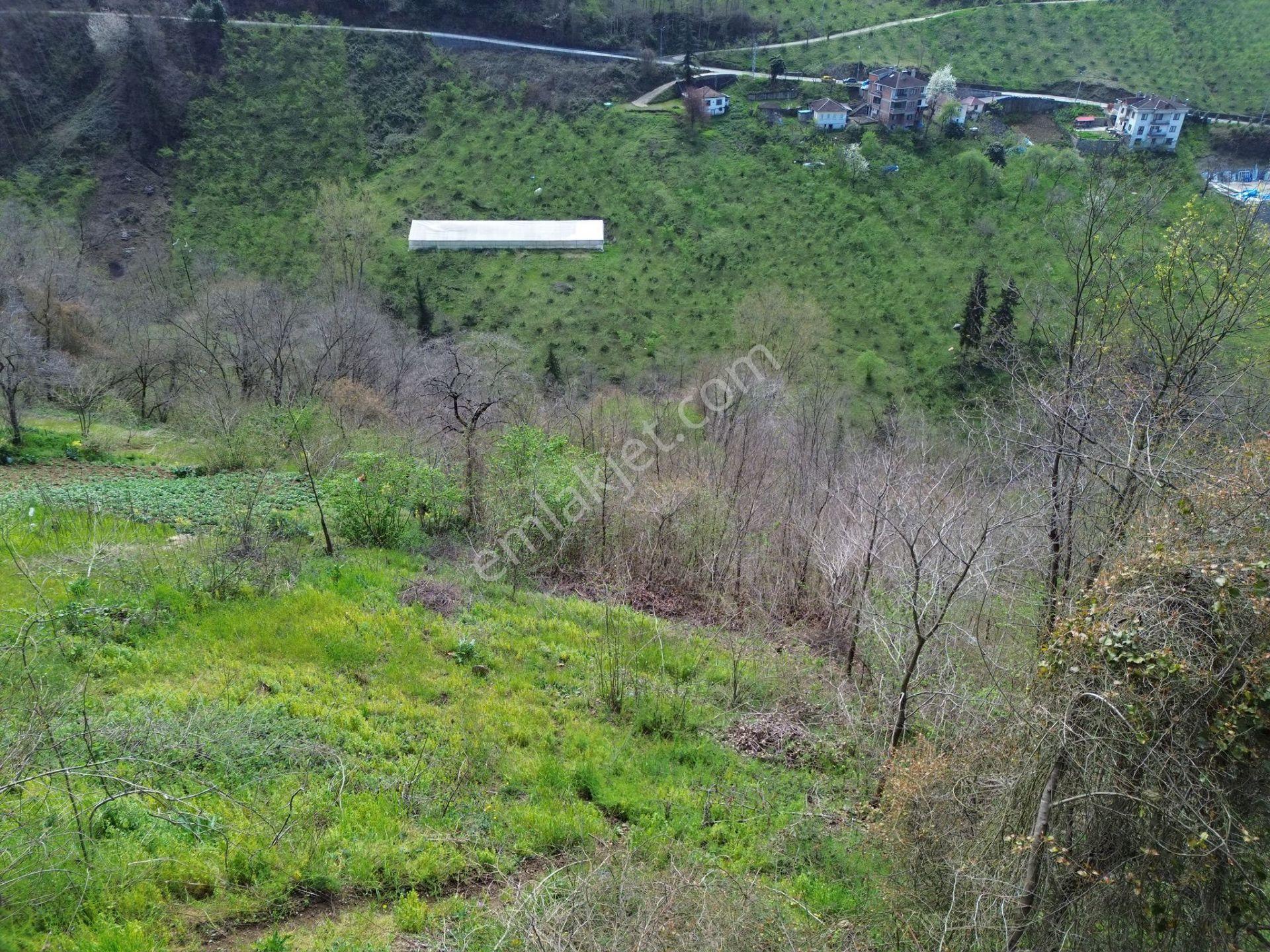 Trabzon Ortahisar'da Satılık Arazi - Görsel 32
