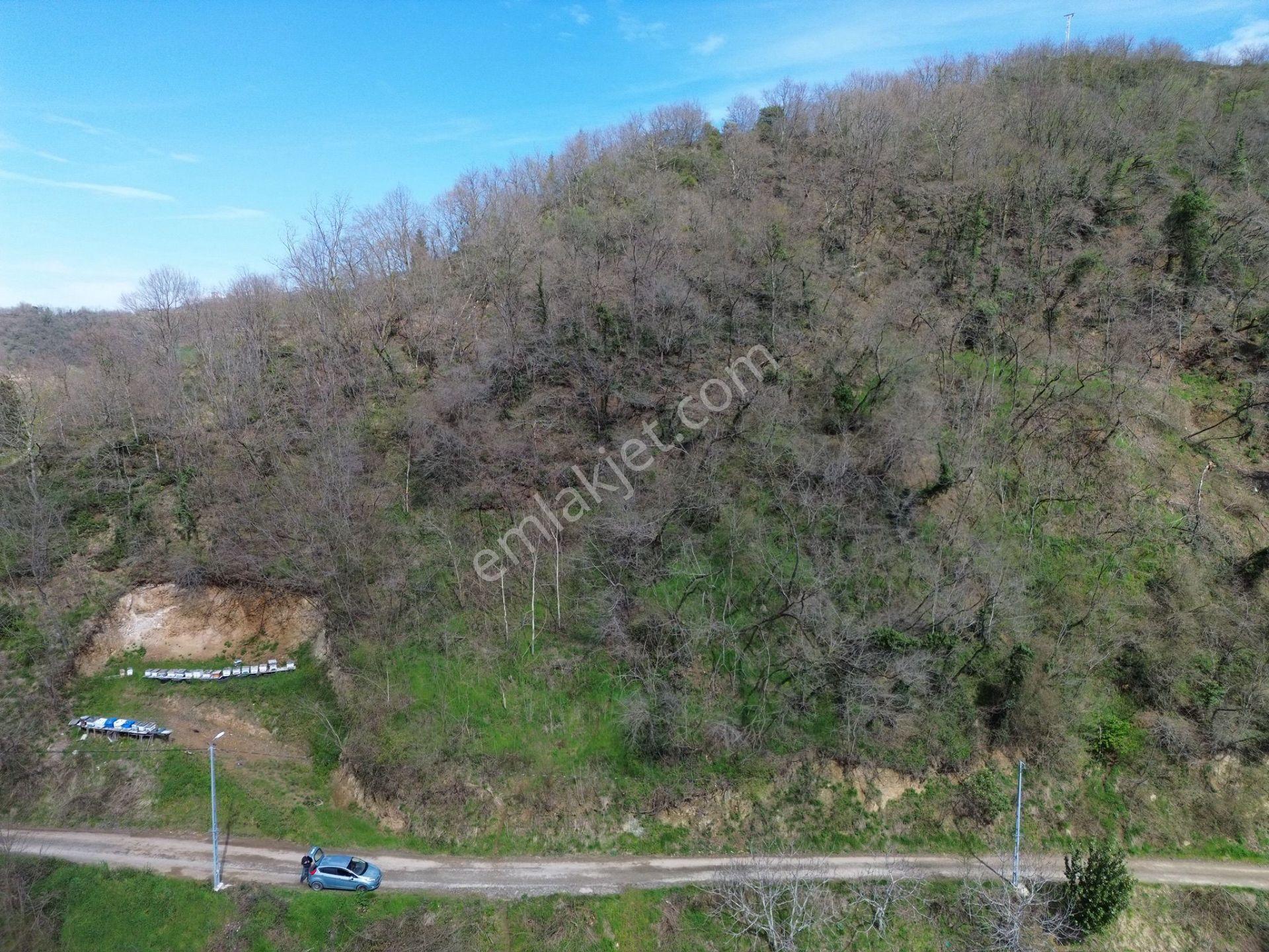 Trabzon Ortahisar'da Satılık Arazi - Görsel 8