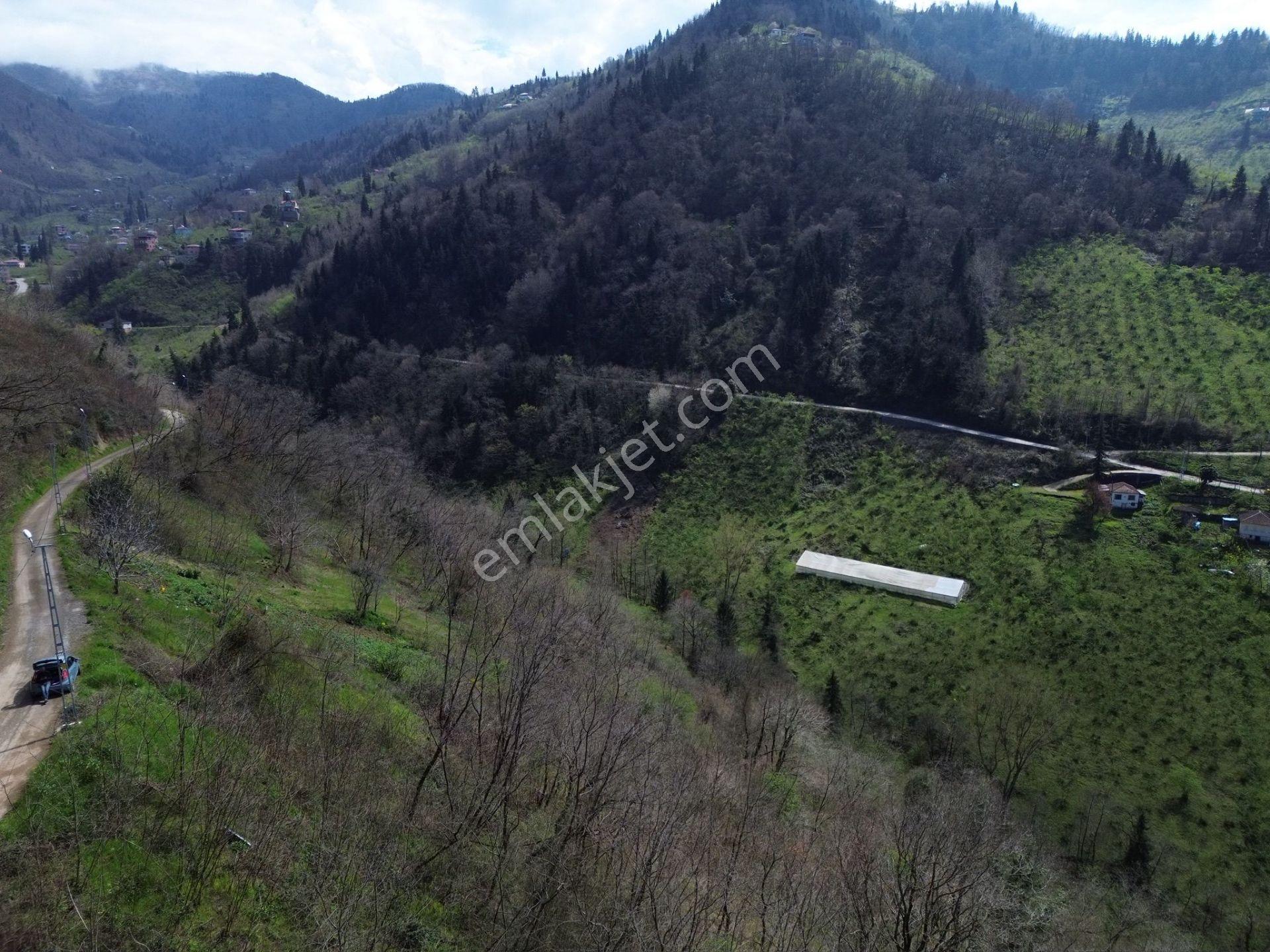 Trabzon Ortahisar'da Satılık Arazi - Görsel 22