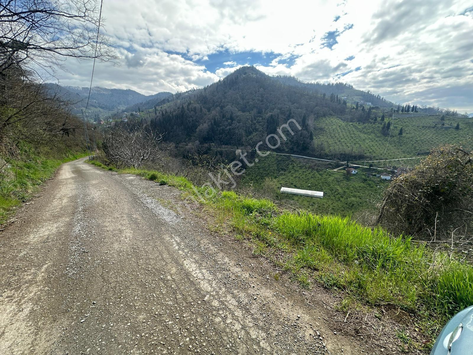 Trabzon Ortahisar'da Satılık Arazi - Görsel 26