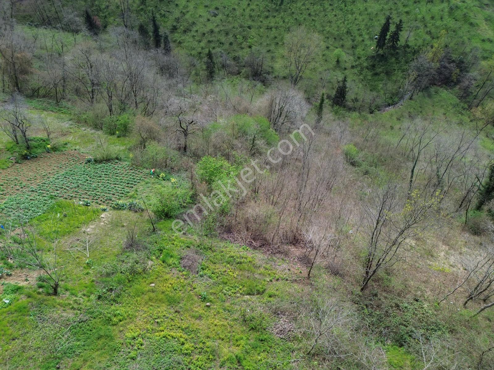 Trabzon Ortahisar'da Satılık Arazi - Görsel 30