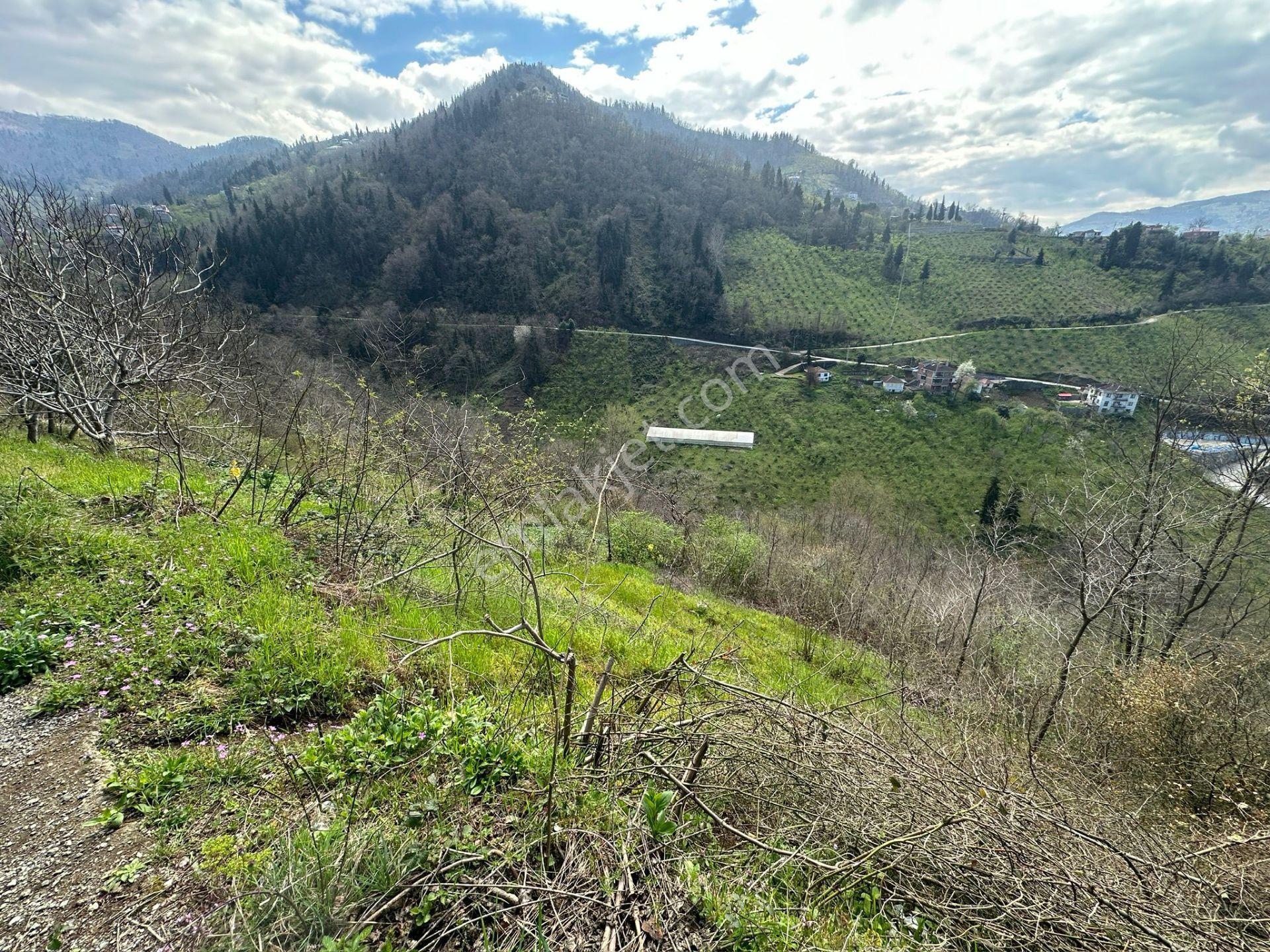 Trabzon Ortahisar'da Satılık Arazi - Görsel 33